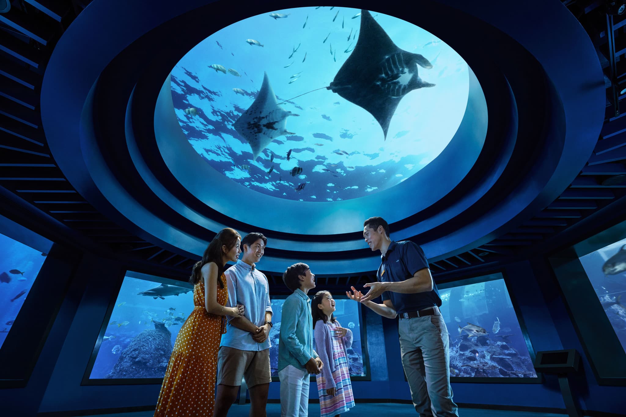 COMBO: Singapore Cable Car + Singapore Oceanarium + Albatross Hop-On Hop-Off Speedboat Tickets - main image