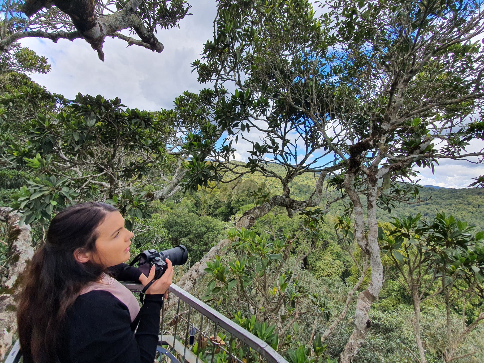 Lamington National Park Tour: O'Reilly's Rainforest Retreat and Canungra Valley Vineyard - image 5