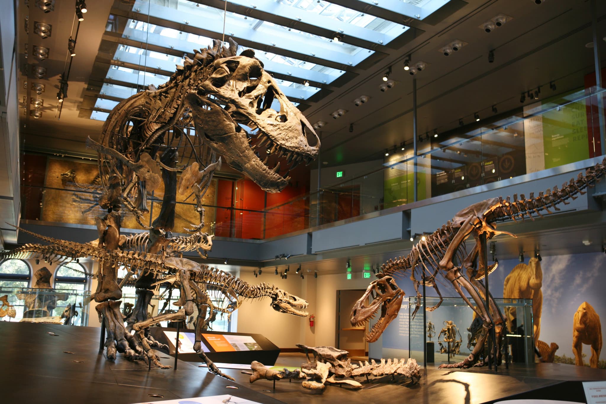Go City Los Angeles Essentials Pass: 3 Attractions - image 6