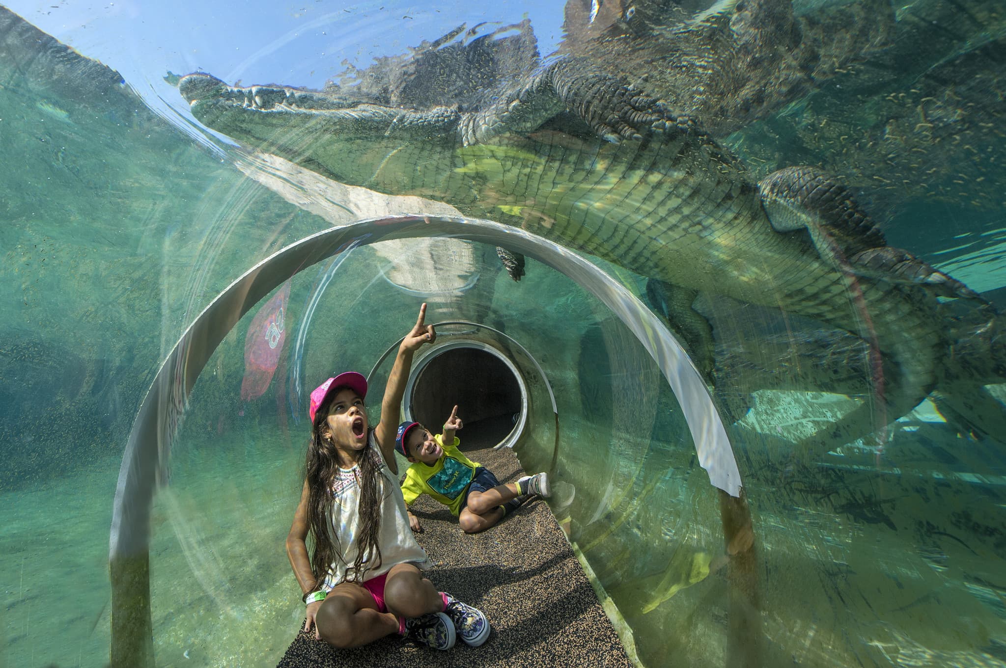 Go City Miami All-Inclusive Pass: Save up to 50% on Attractions - image 4