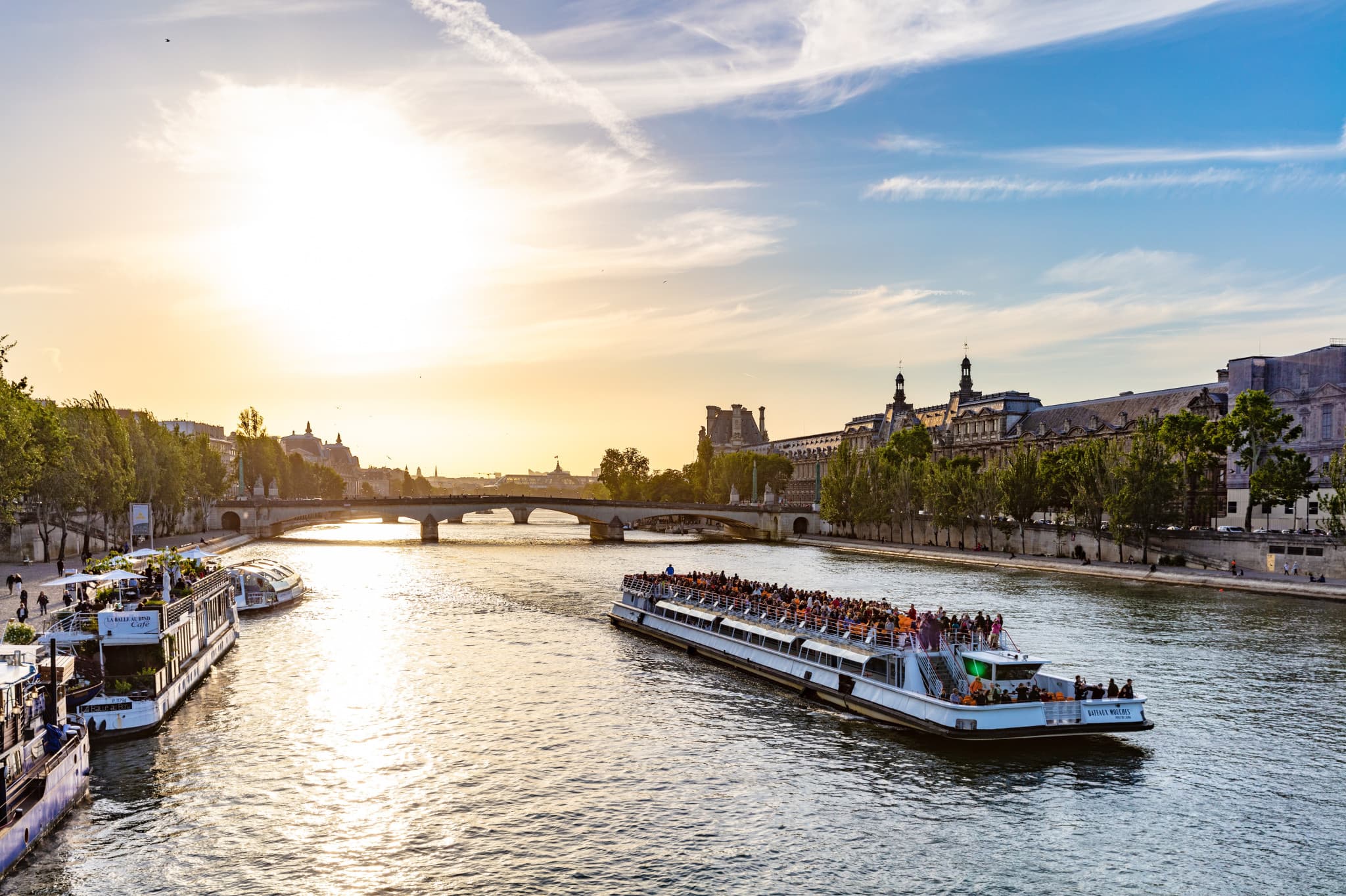 Seine River Sightseeing Cruise by Bateaux Mouches - image 2