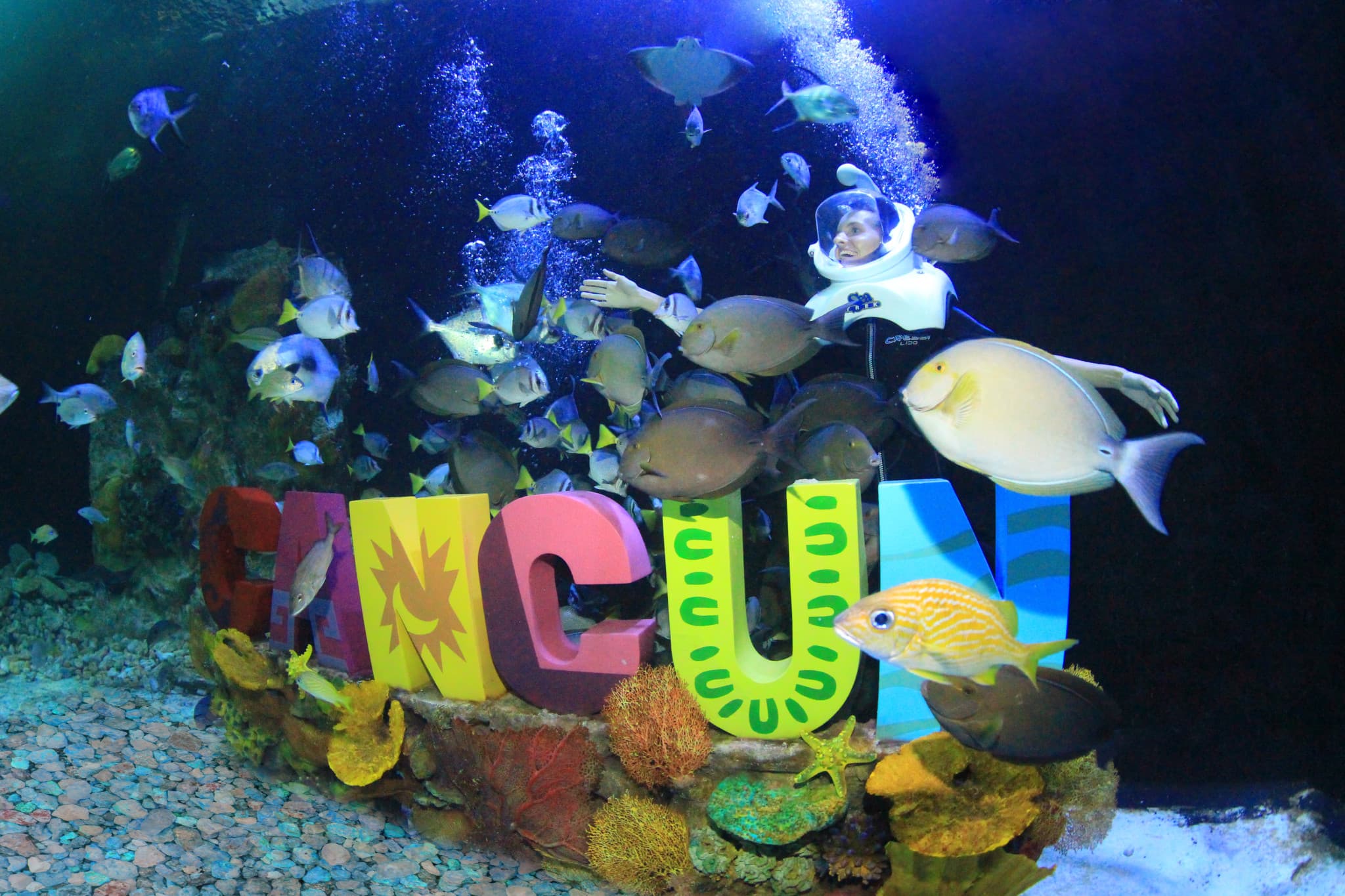 Go City Cancun Essentials Pass: 3 Attractions - image 18