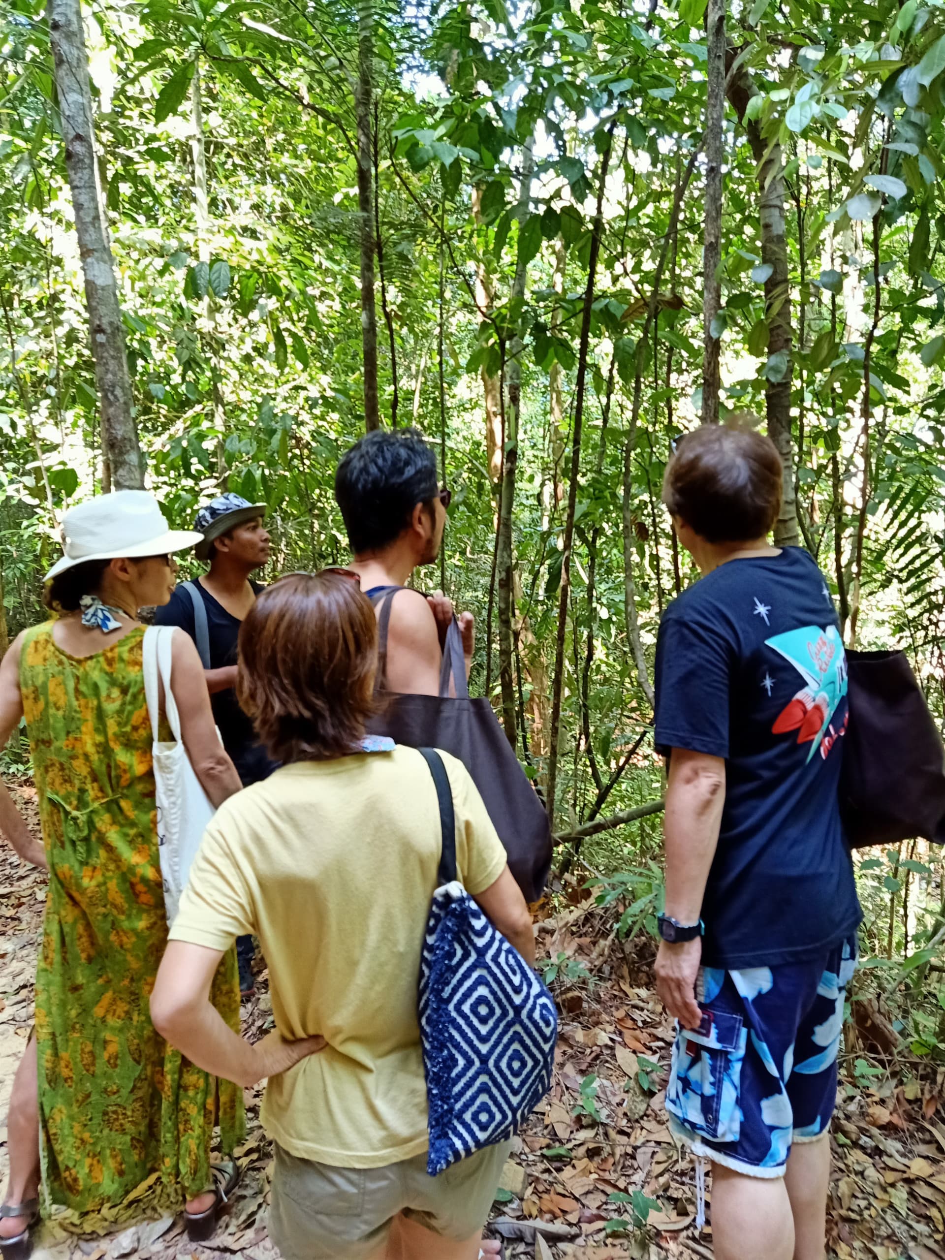 Tour a pie matutino por la selva tropical de Langkawi - imagen 6