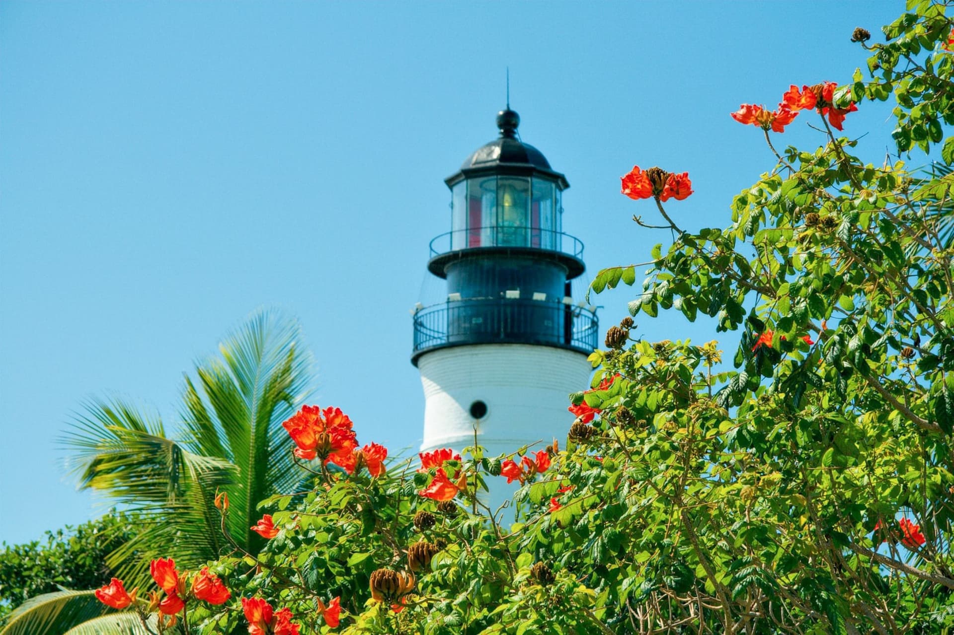 Day Trip to Key West from Miami with Optional Activities - image 21
