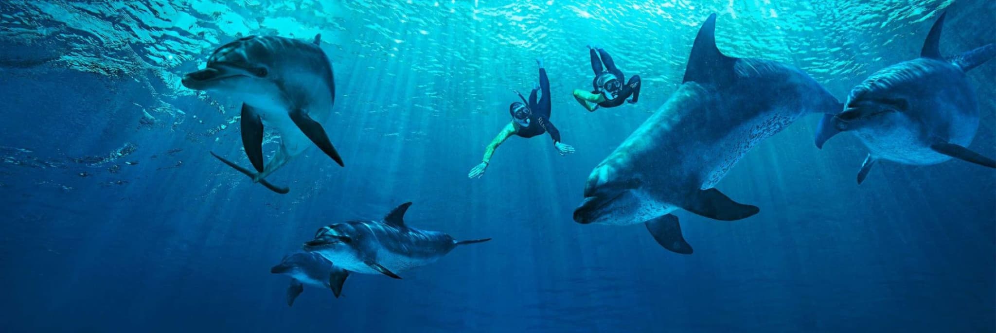 Atlantis Dubai Ticket - image 23