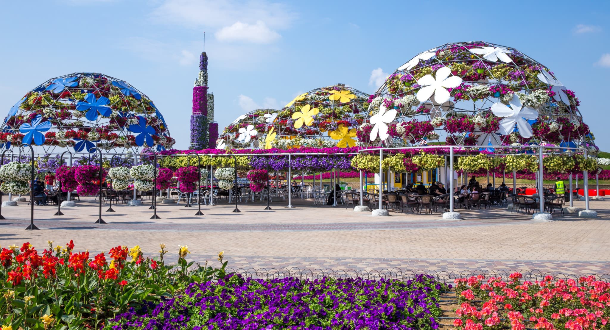 Dubai Miracle Garden Ticket - image 4
