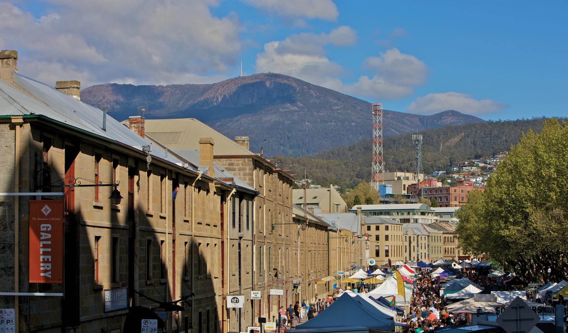Mount Wellington and Hobart City Tour - imagen 10