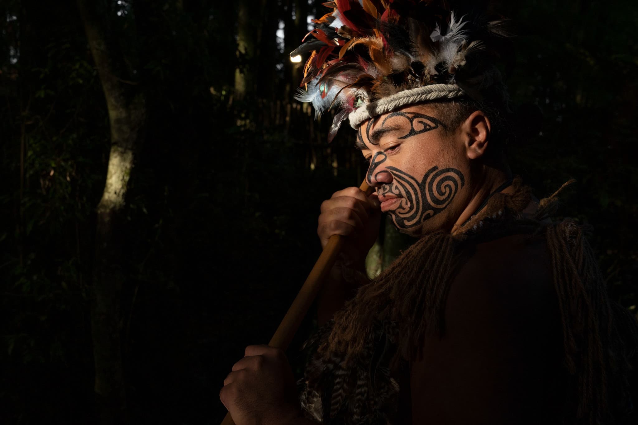 Maori Cultural Experience at Te Pa Tu Village - image 3