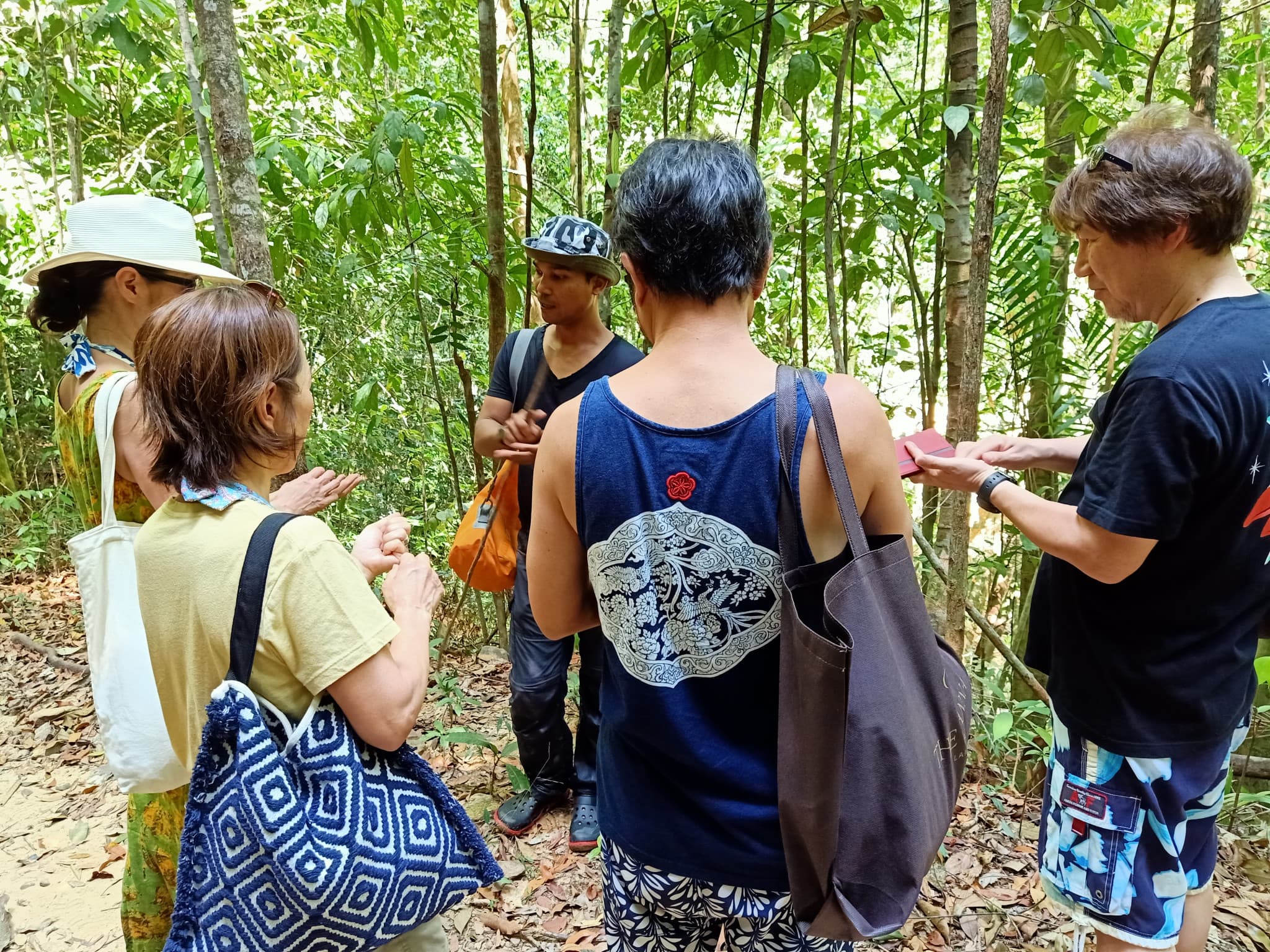 Langkawi Morning Rainforest Walking Tour - image 3