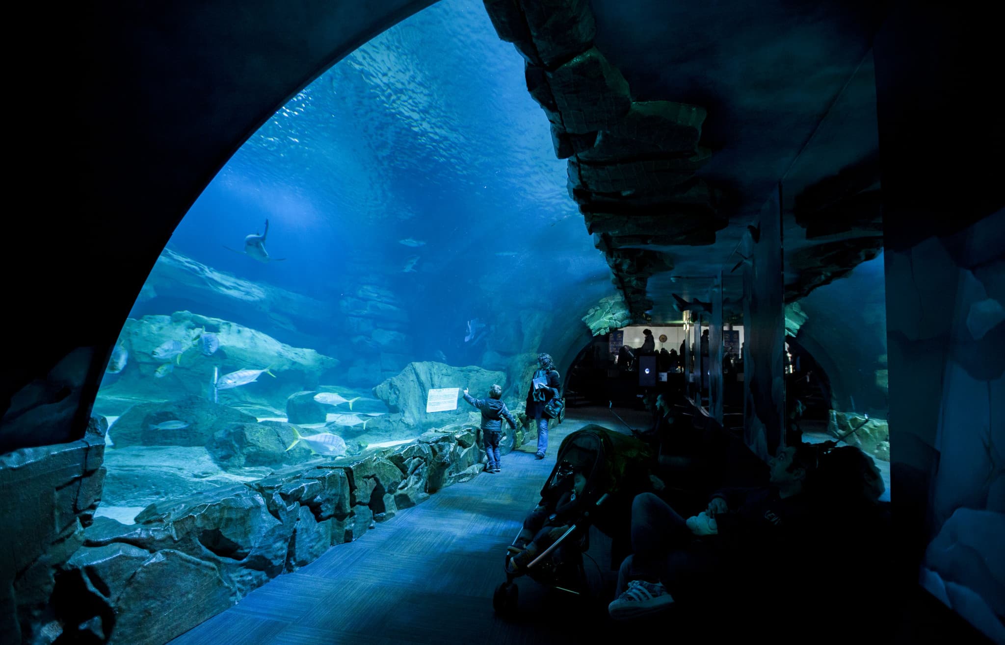 Aquarium de Paris - main image