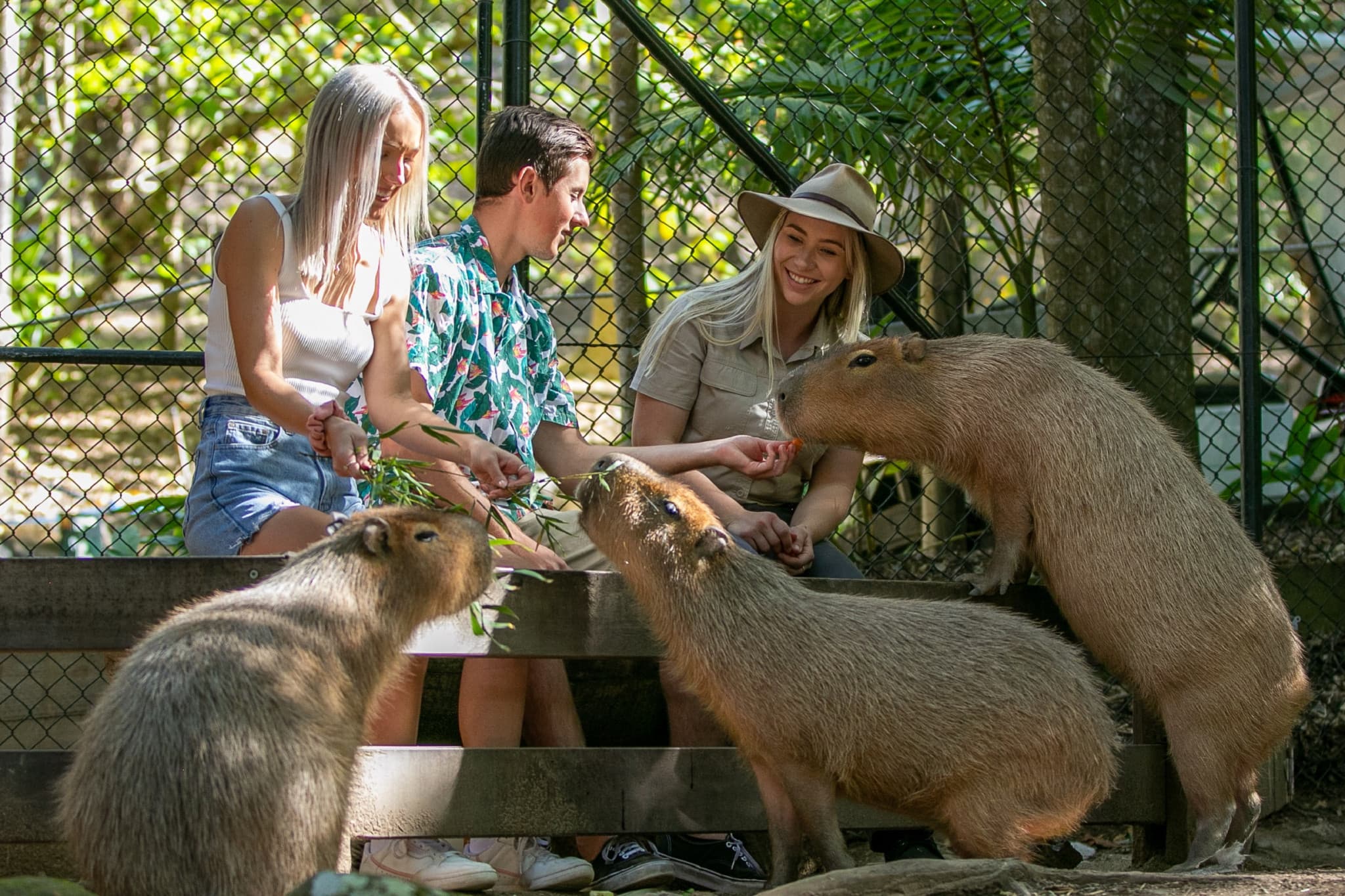 Currumbin Wildlife Sanctuary Gold Coast Ticket - image 9