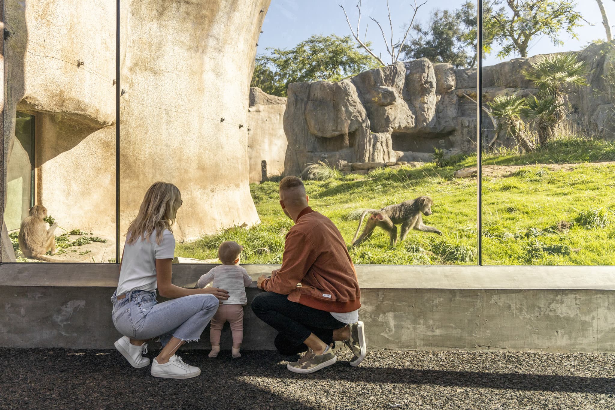 Go City San Diego Explorer Pass: Save up to 50% on Attractions - image 17