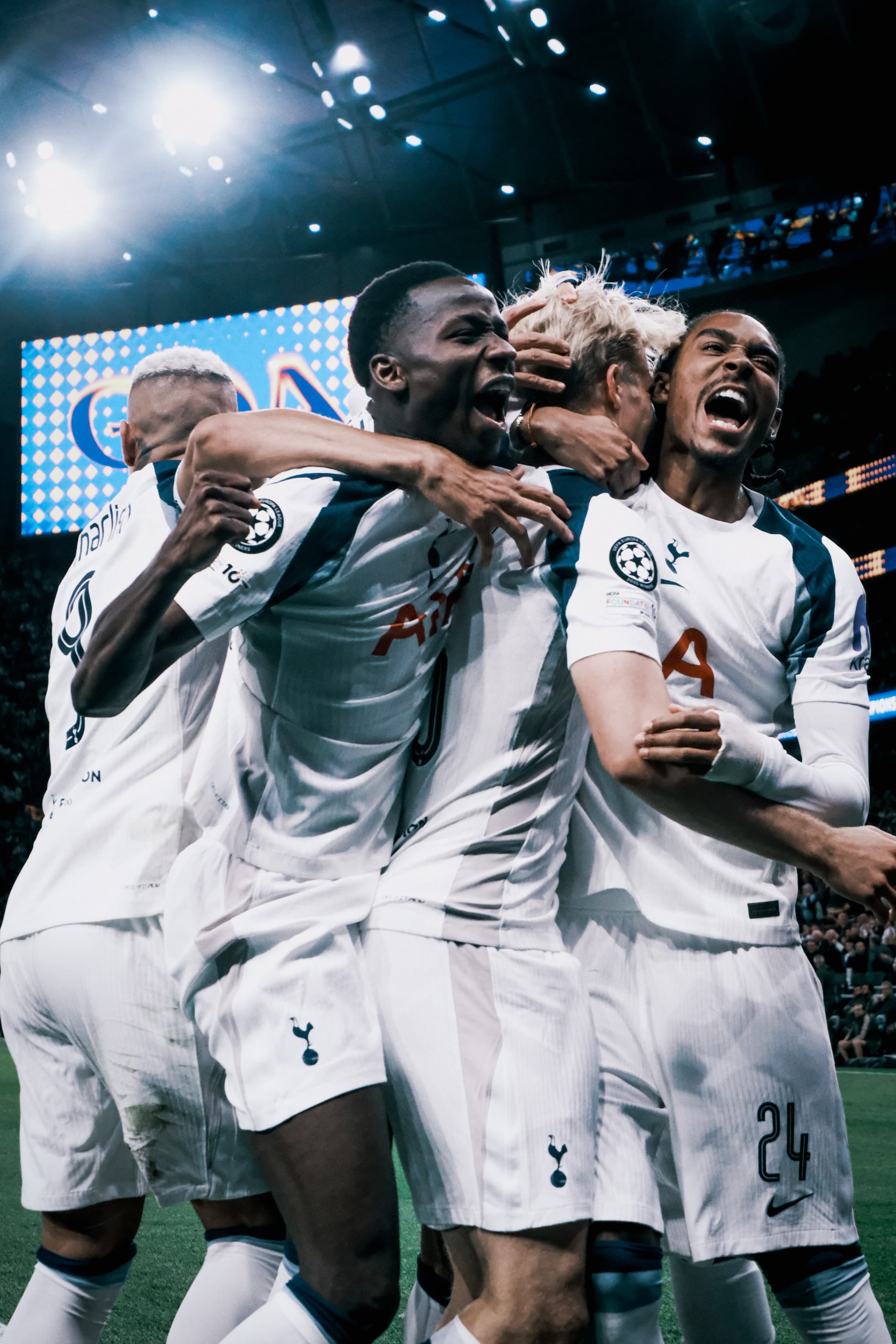 Premier League Football - Tottenham Hotspur FC Match Ticket at Tottenham Hotspur Stadium - image 6