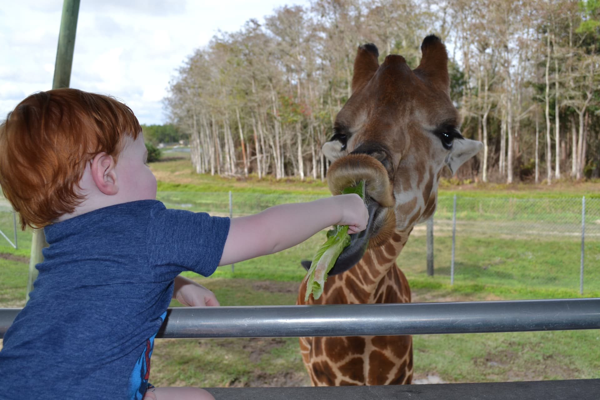 Go City Miami All-Inclusive Pass: Save up to 50% on Attractions - imagen 24
