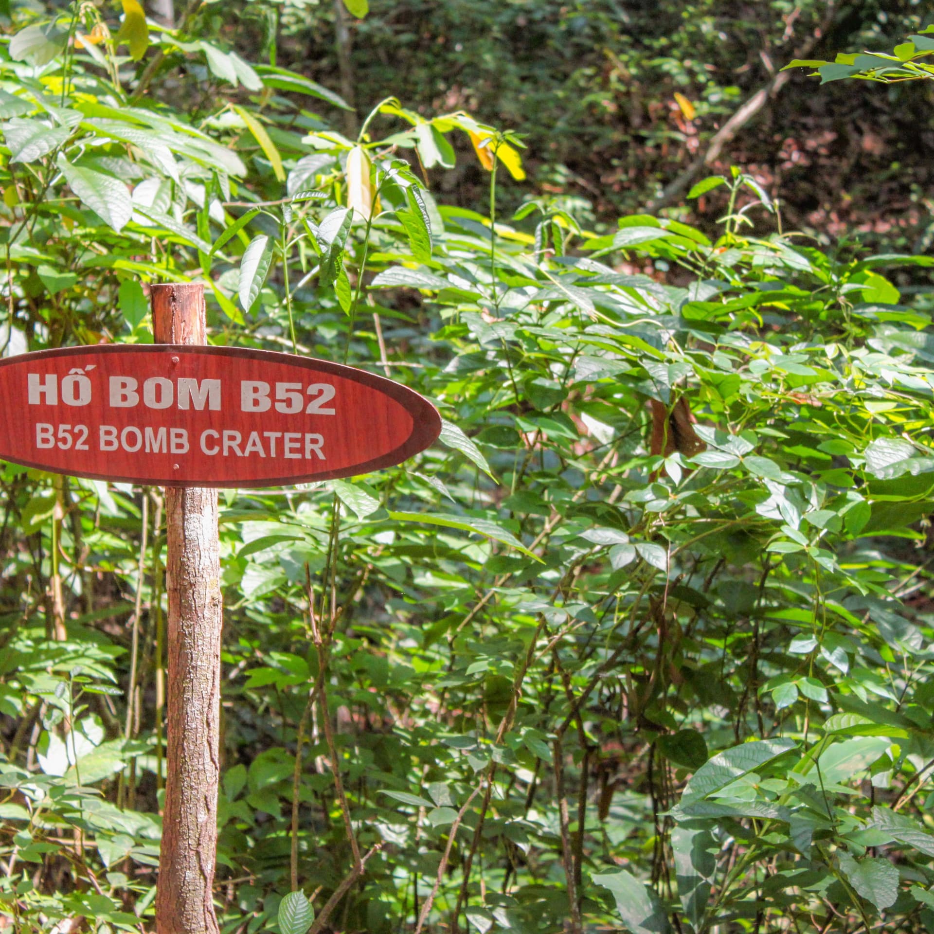 Cu Chi Tunnels and Mekong Delta Full-Day Tour from Ho Chi Minh - image 8
