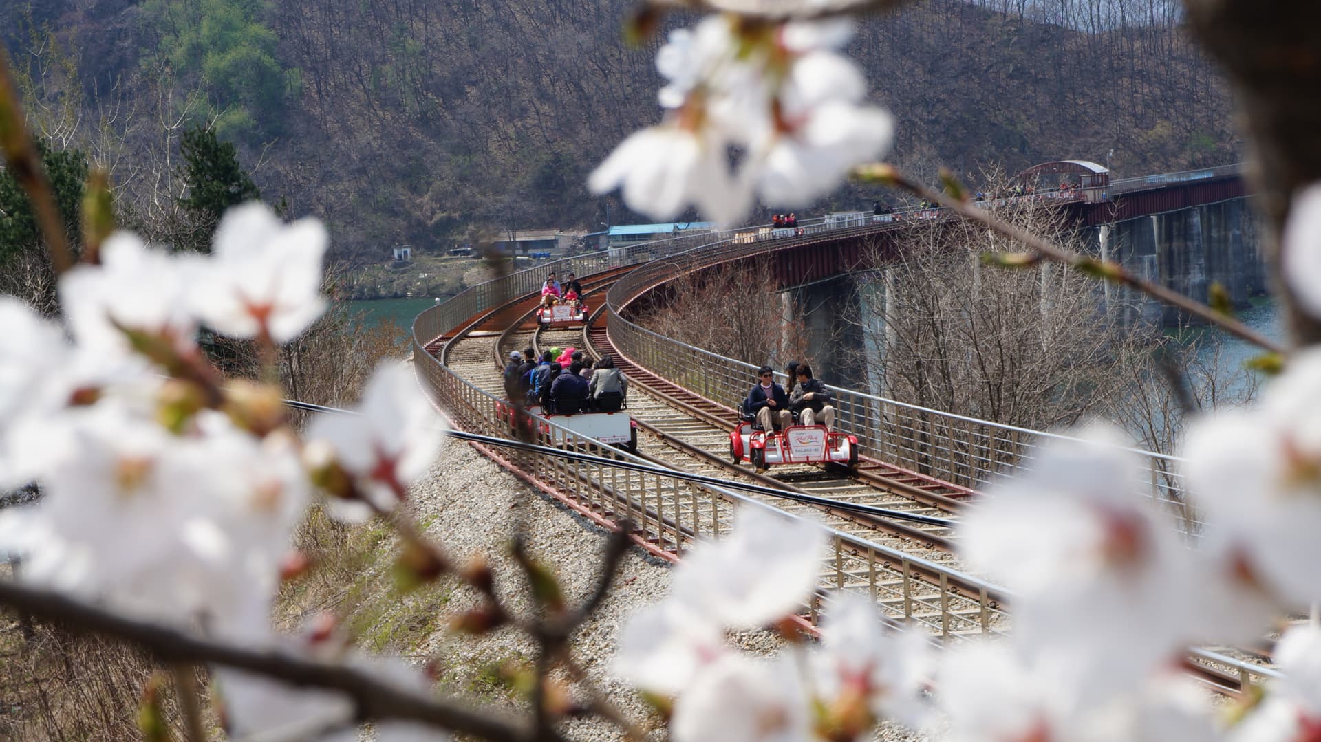 Nami Island, Petite France, Italian Village, and Gangchon Rail Bike Tour from Seoul - imagen principal