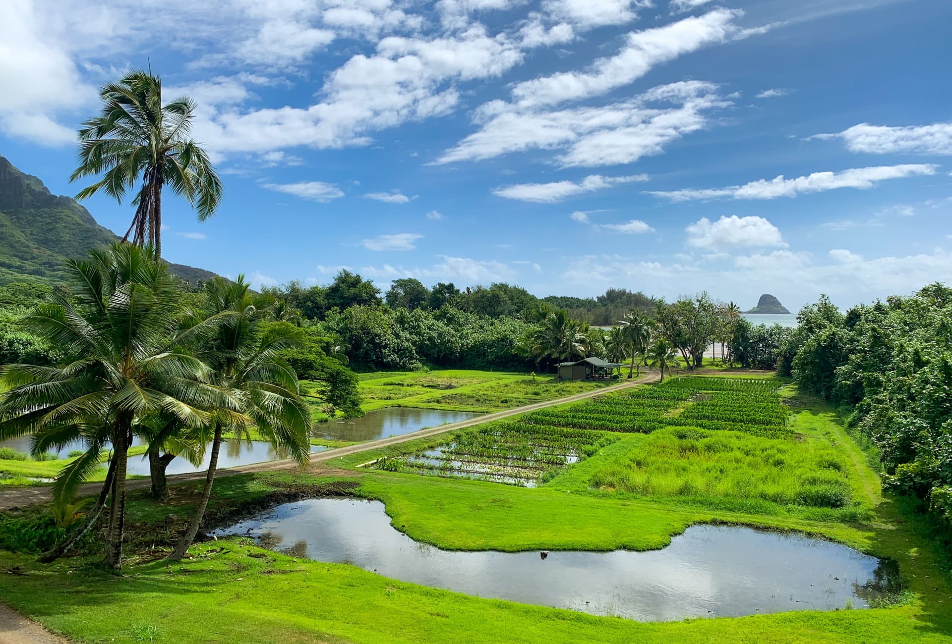 Go City Oahu Explorer Pass: Save up to 50% on Attractions - image 4