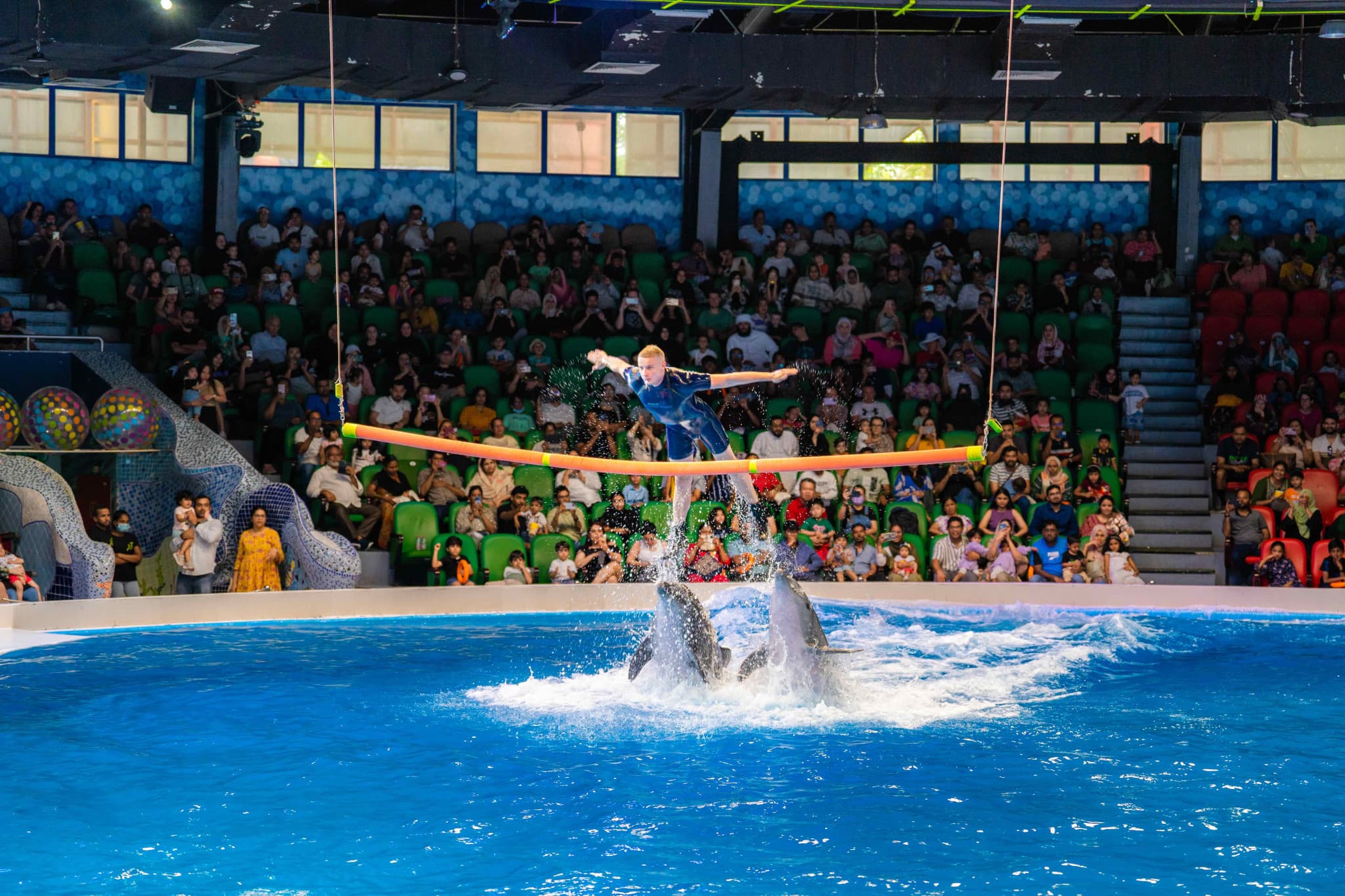 Dubai Dolphinarium Ticket - image 8
