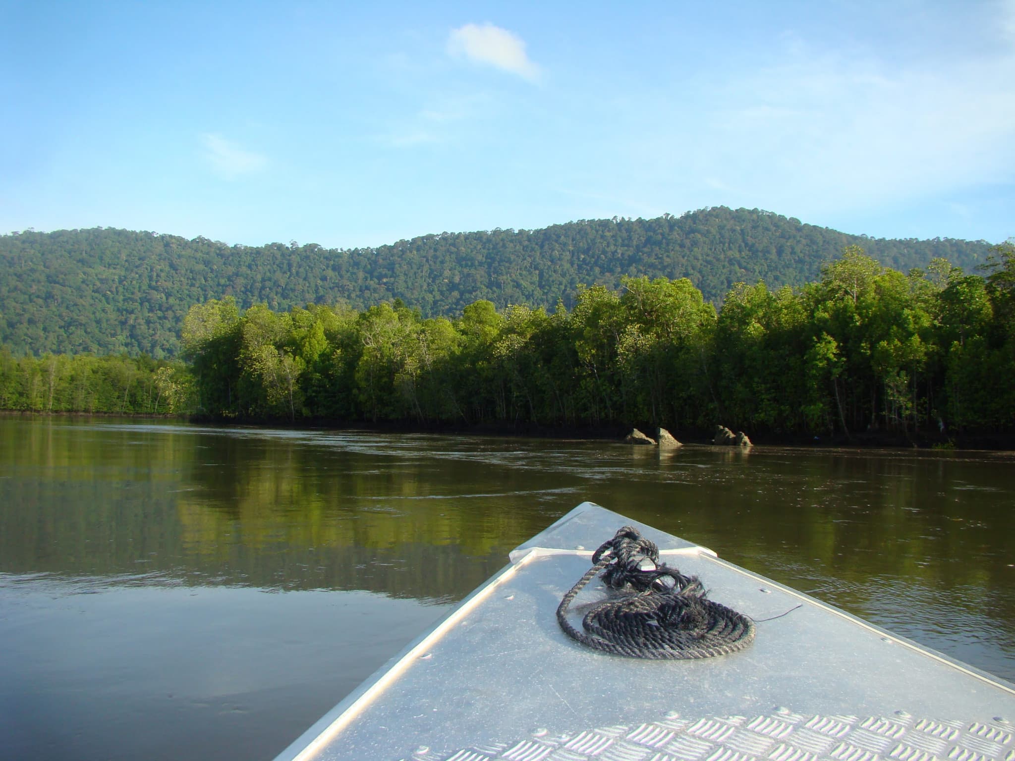 Langkawi Mangrove River Cruise and Snorkeling - main image