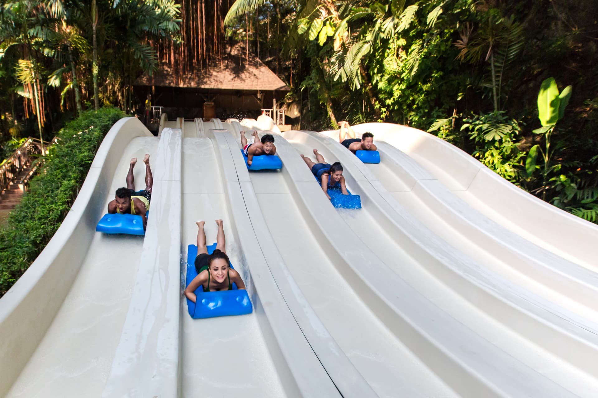 COMBO: Entrada a Sunway Lagoon Theme Park + Quack Xpress Pass - imagen 2