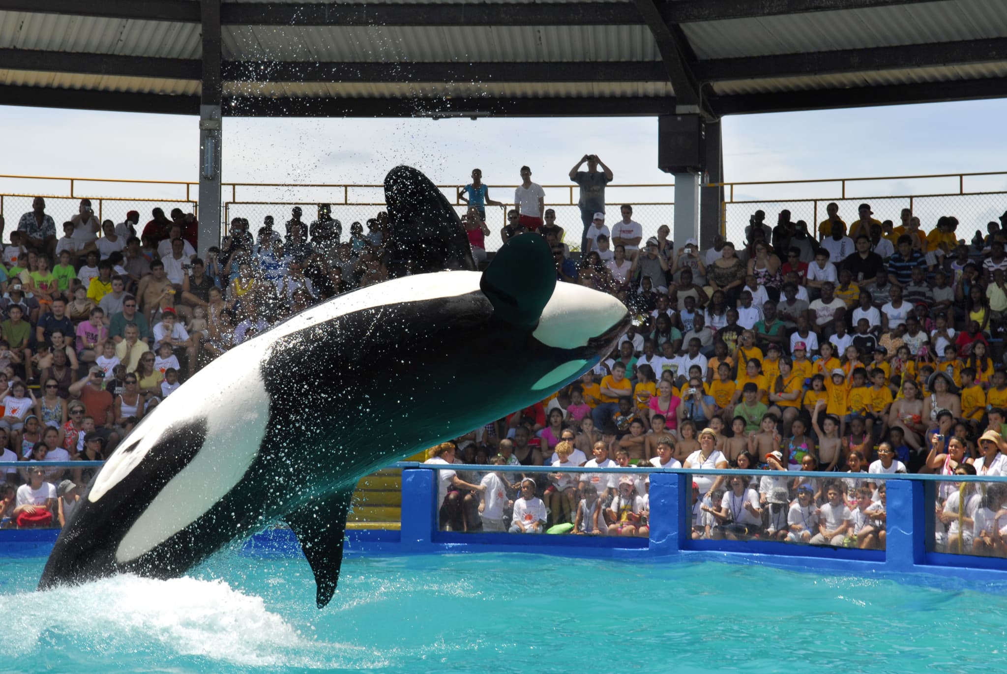Go City Miami All-Inclusive Pass: Save up to 50% on Attractions - image 27