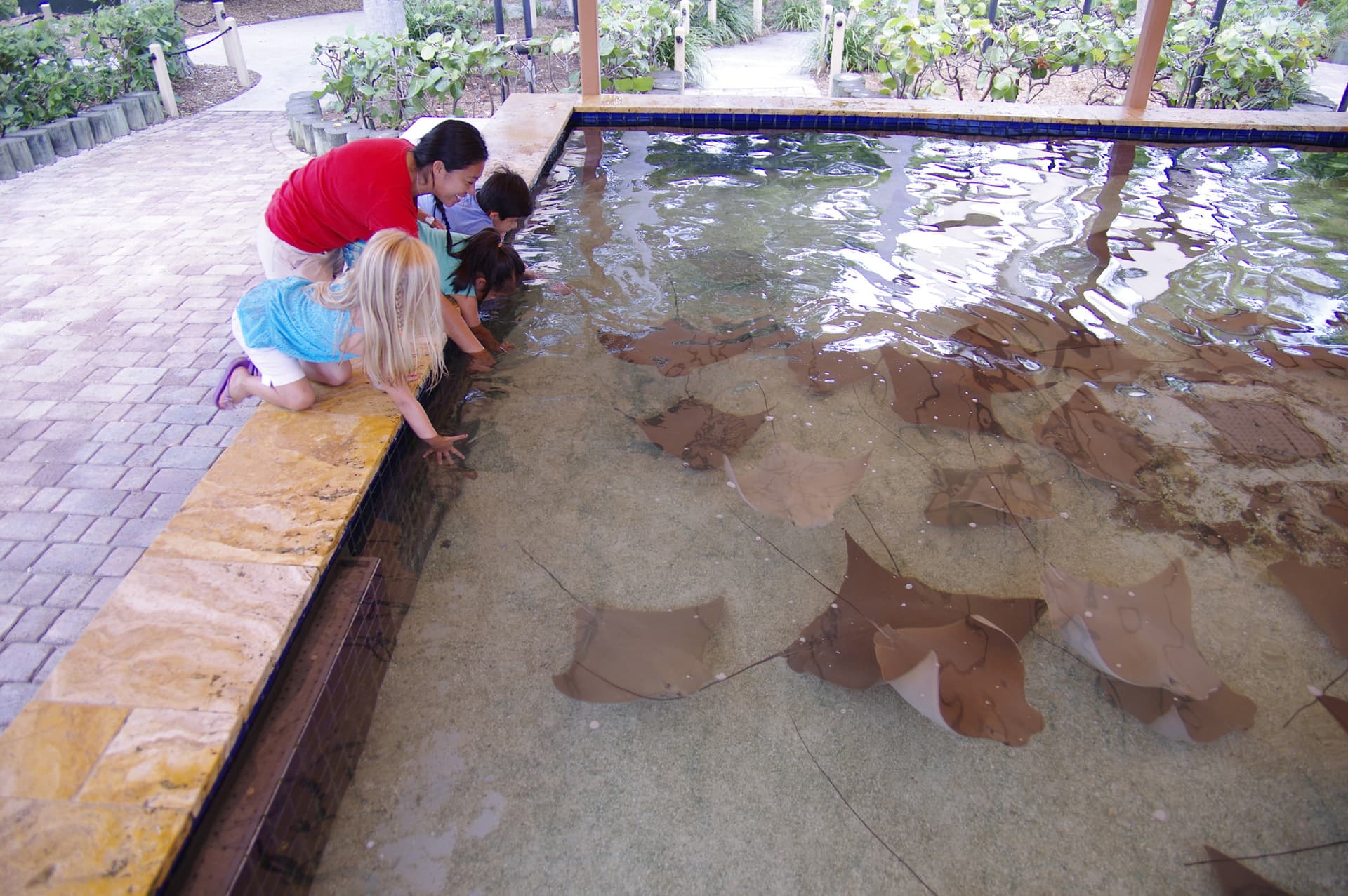 Go City Miami All-Inclusive Pass: Save up to 50% on Attractions - imagen 26