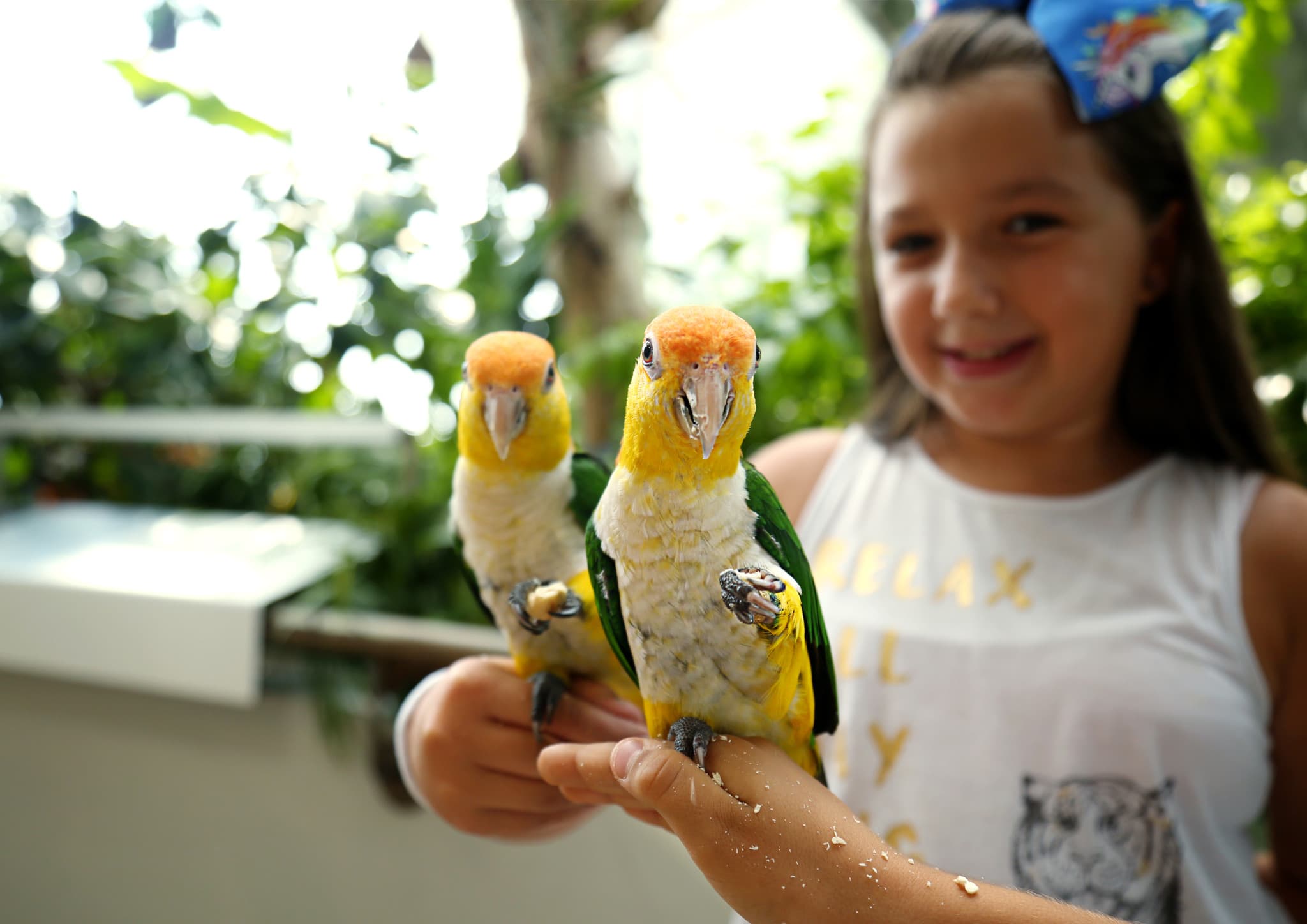 The Green Planet Dubai Ticket - image 10