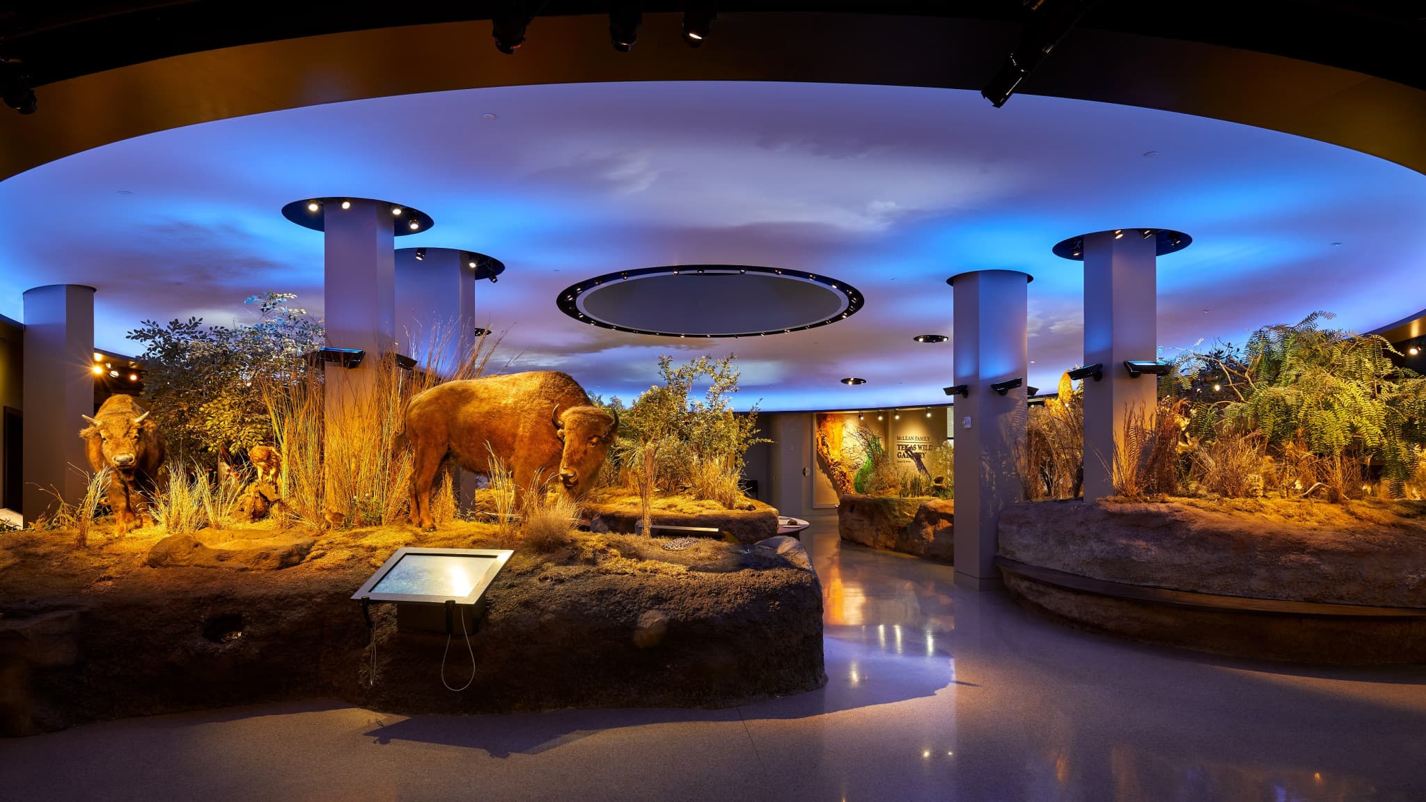 Go City San Antonio Essentials Pass: 3 Attractions - image 13