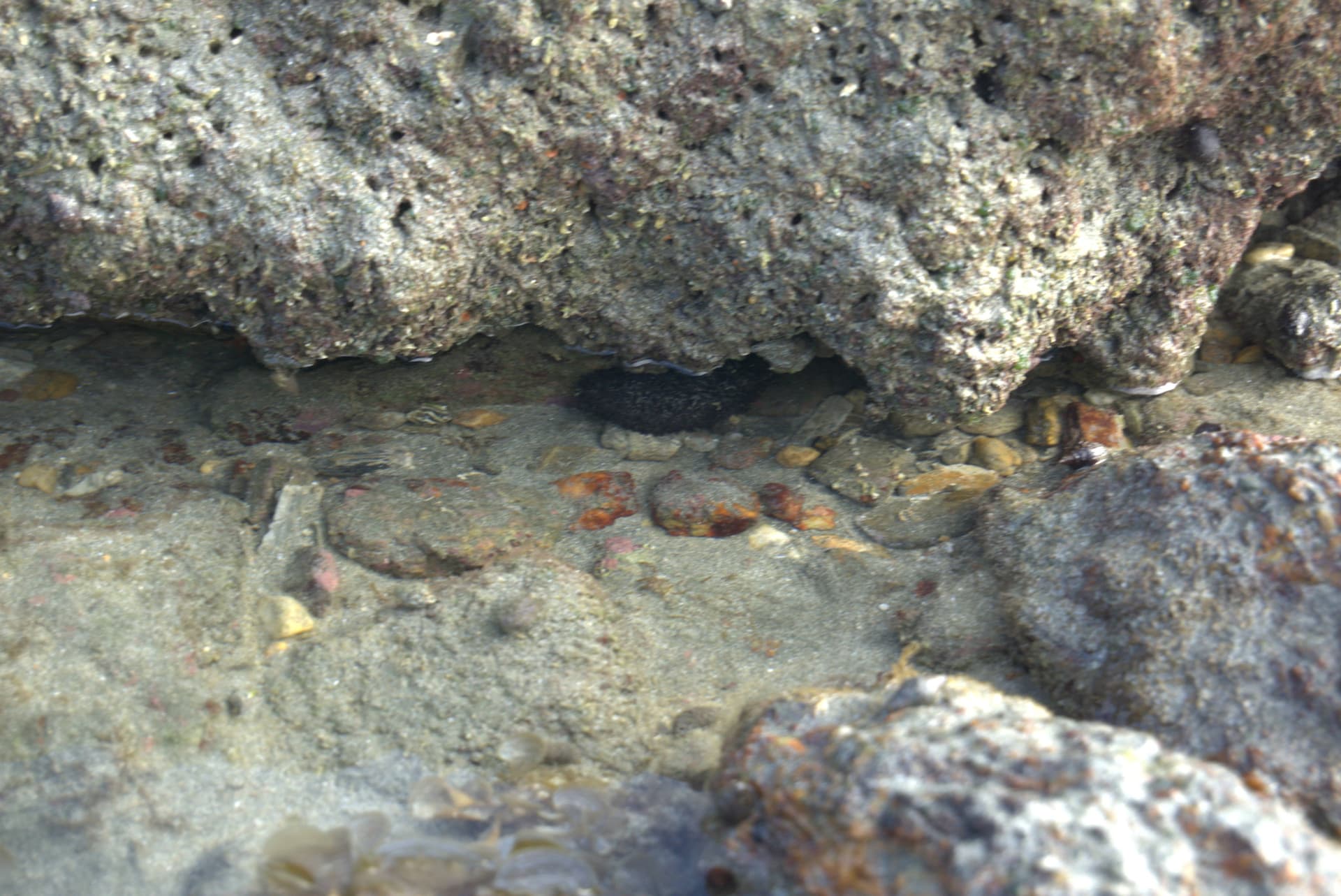 Desaru Beach and Tide Pool Walk - image 27