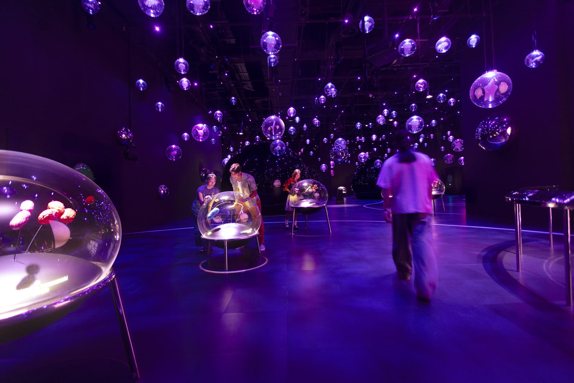Entrada a Exploria en Mandai, Singapur - imagen 6