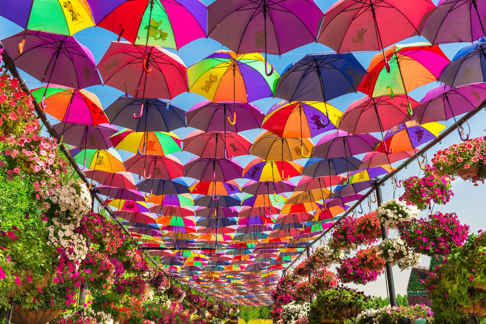 COMBO: Dubai Miracle Garden + Global Village Dubai Tickets - image 2