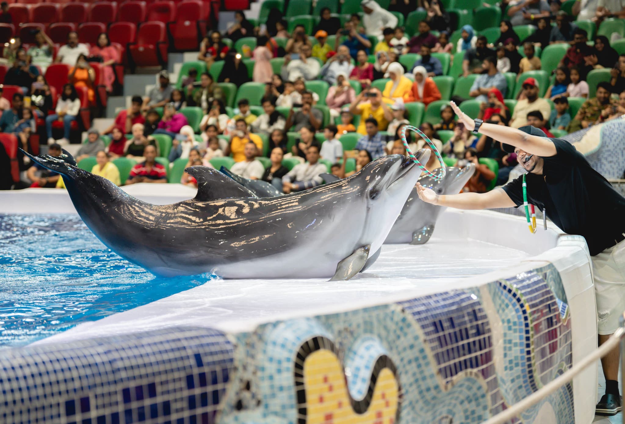 Dubai Dolphinarium Ticket - image 10
