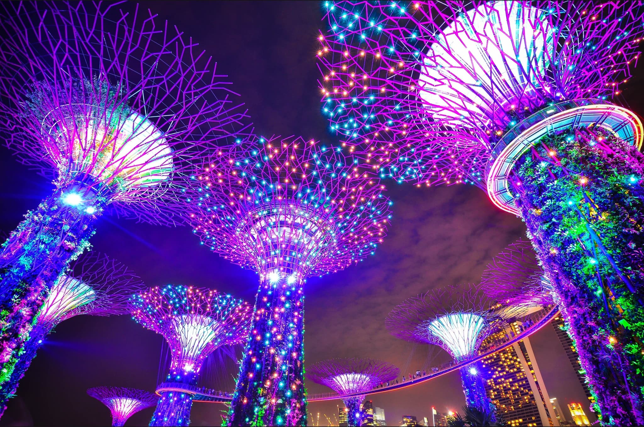 COMBO: Gardens by the Bay + Marina Bay Sands SkyPark Observation Deck + ArtScience Museum Tickets - image 5