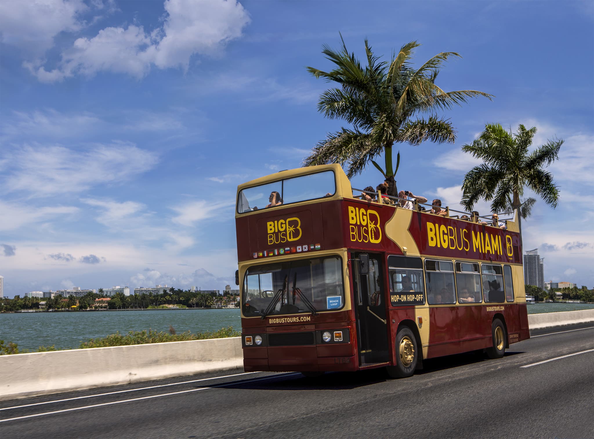 Go City Miami All-Inclusive Pass: Save up to 50% on Attractions - image 8