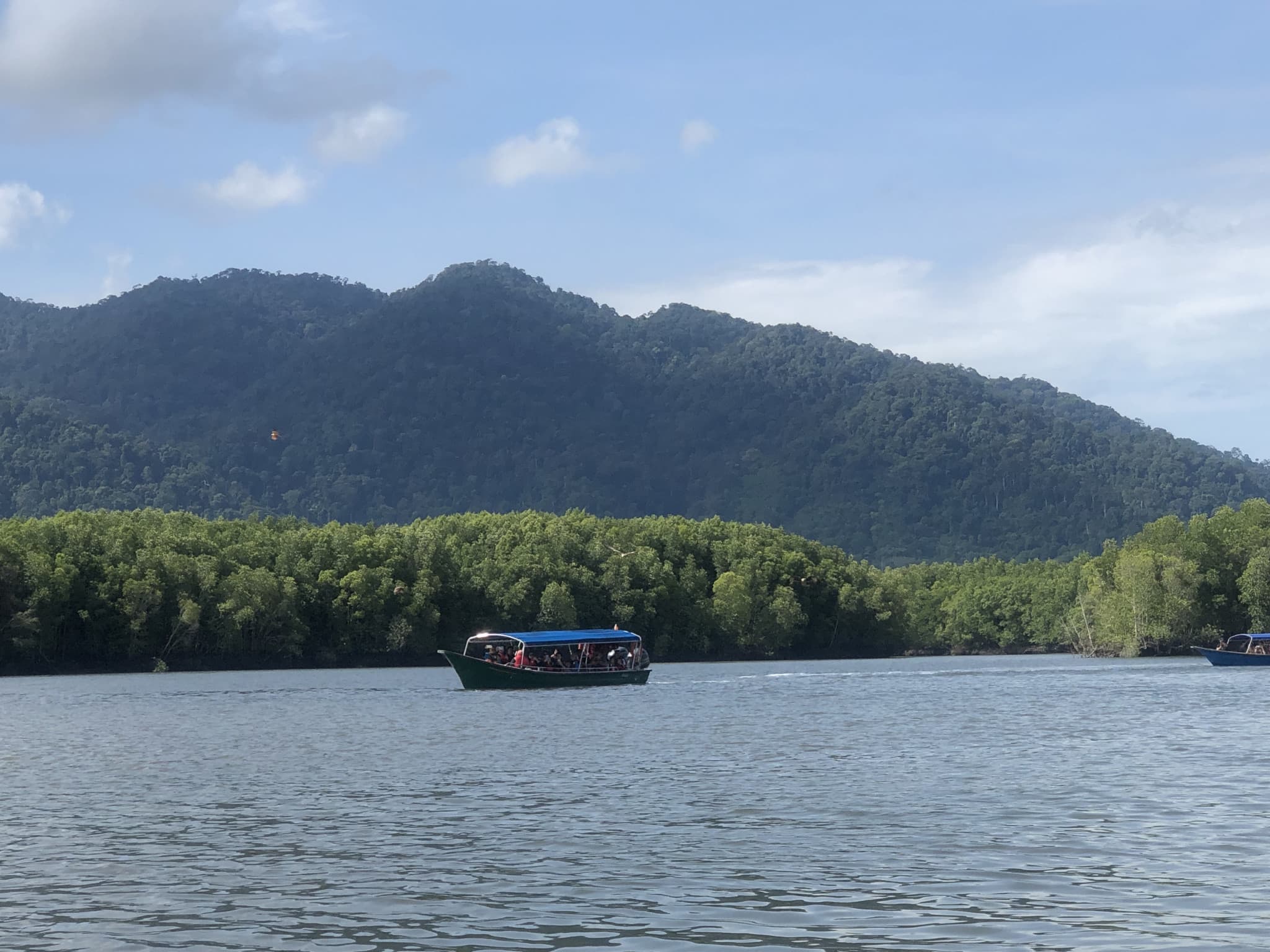 Langkawi UNESCO Global Geopark Mangrove Cruise - main image