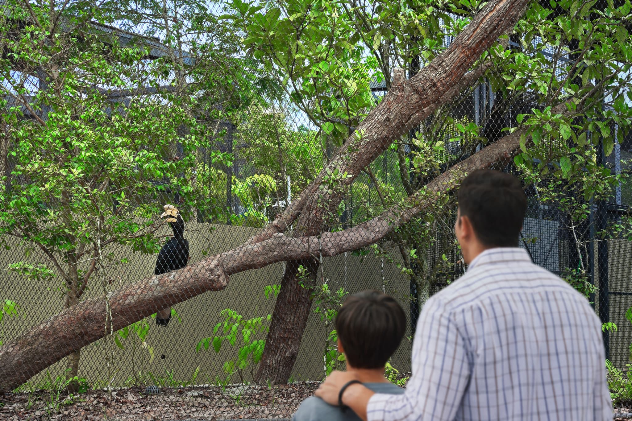 Singapore Bird Paradise Ticket - image 14