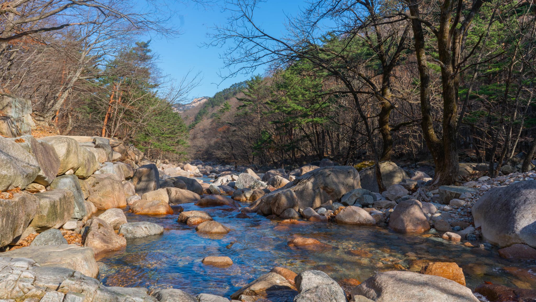 Mount Seorak and Naksansa Temple Tour from Seoul - image 4