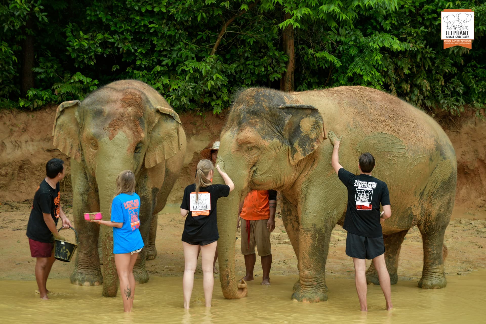 (푸켓) 코끼리 정글 보호 구역 투어 - 이미지 5