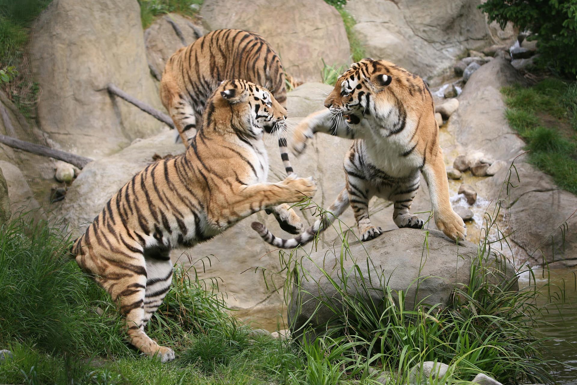 Go City Dublin Explorer Pass: Ahorre hasta un 50% en atracciones - imagen 39