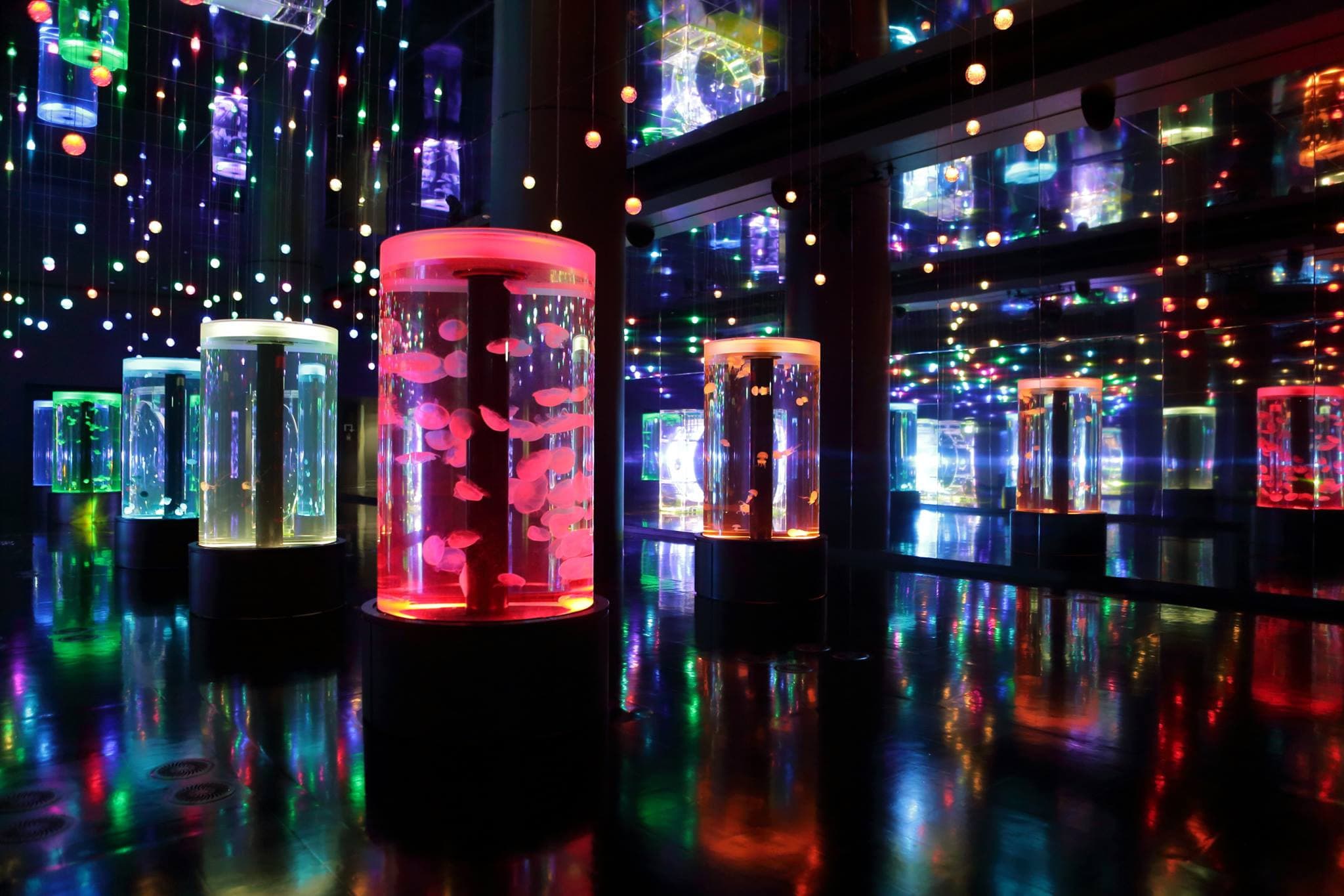 Maxell Aqua Park Shinagawa - image 3
