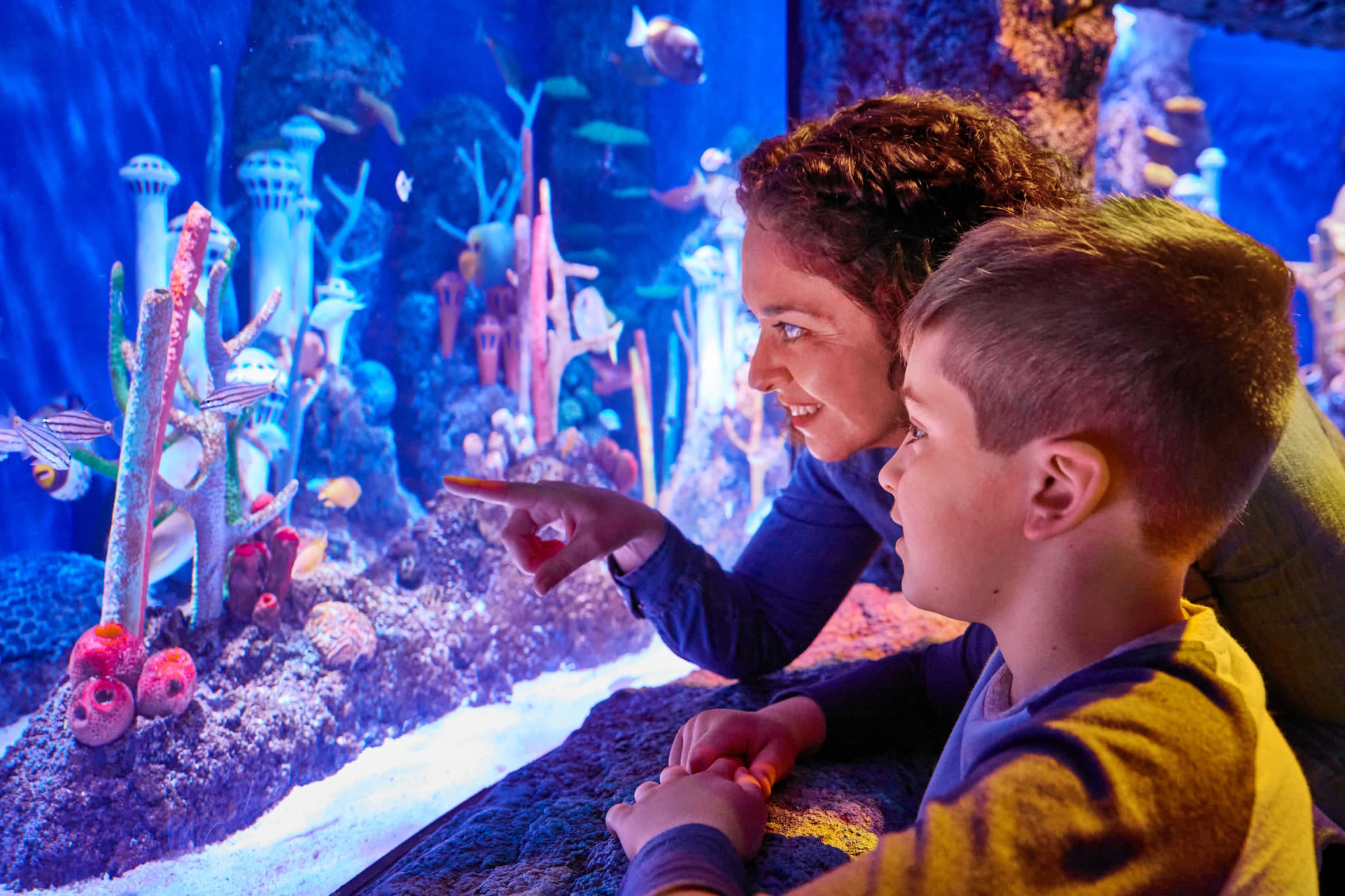 SEA LIFE New Jersey Aquarium Ticket - image 5