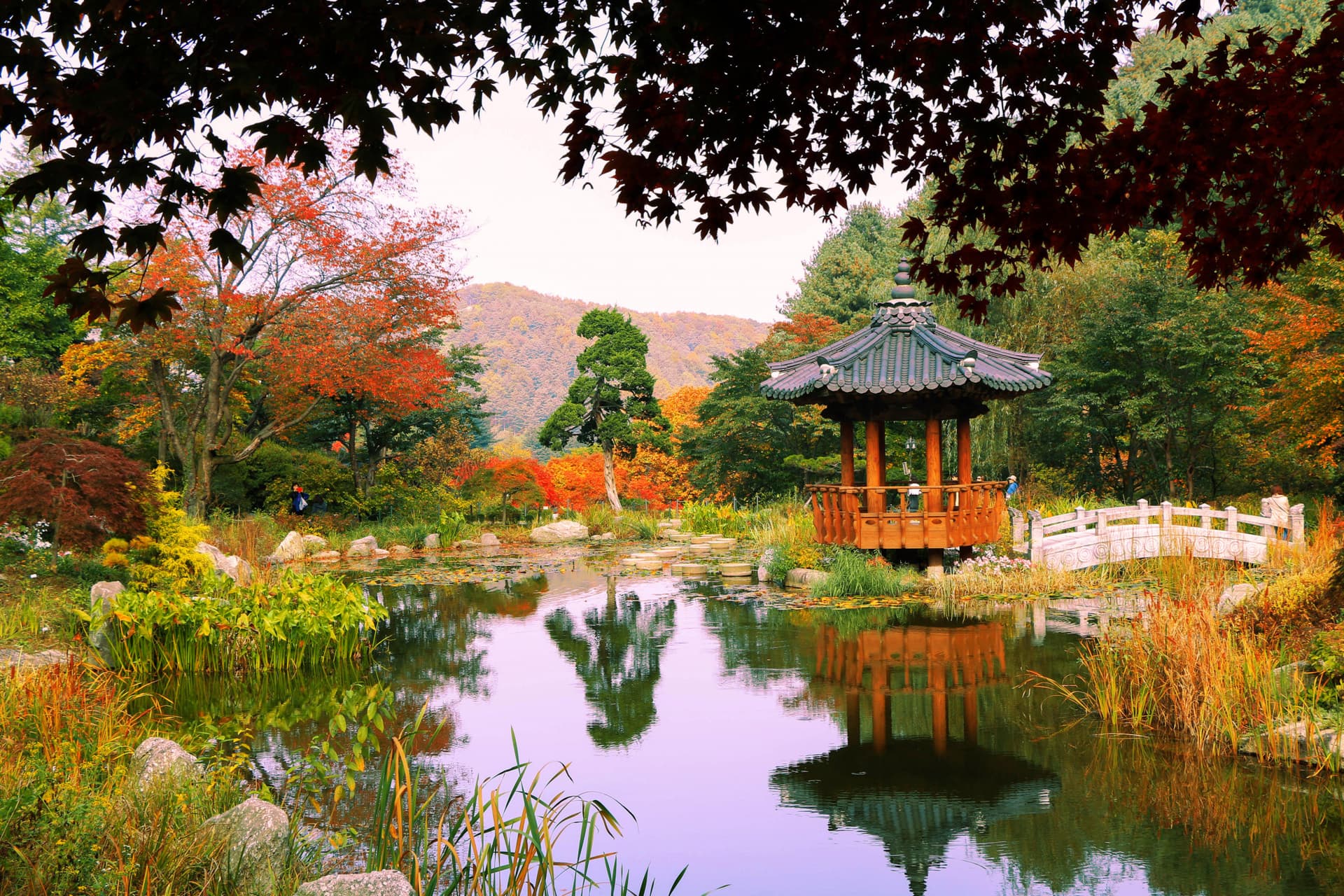 Nami Island and Garden of Morning Calm Tour from Seoul - 이미지 2