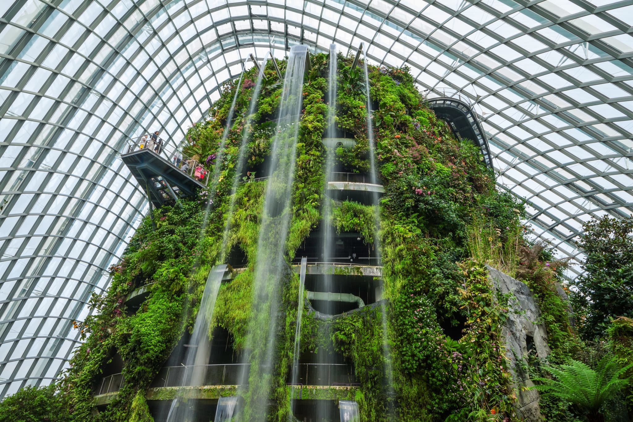 COMBO: Adventure Cove Waterpark + Gardens by the Bay Ticket - image 7