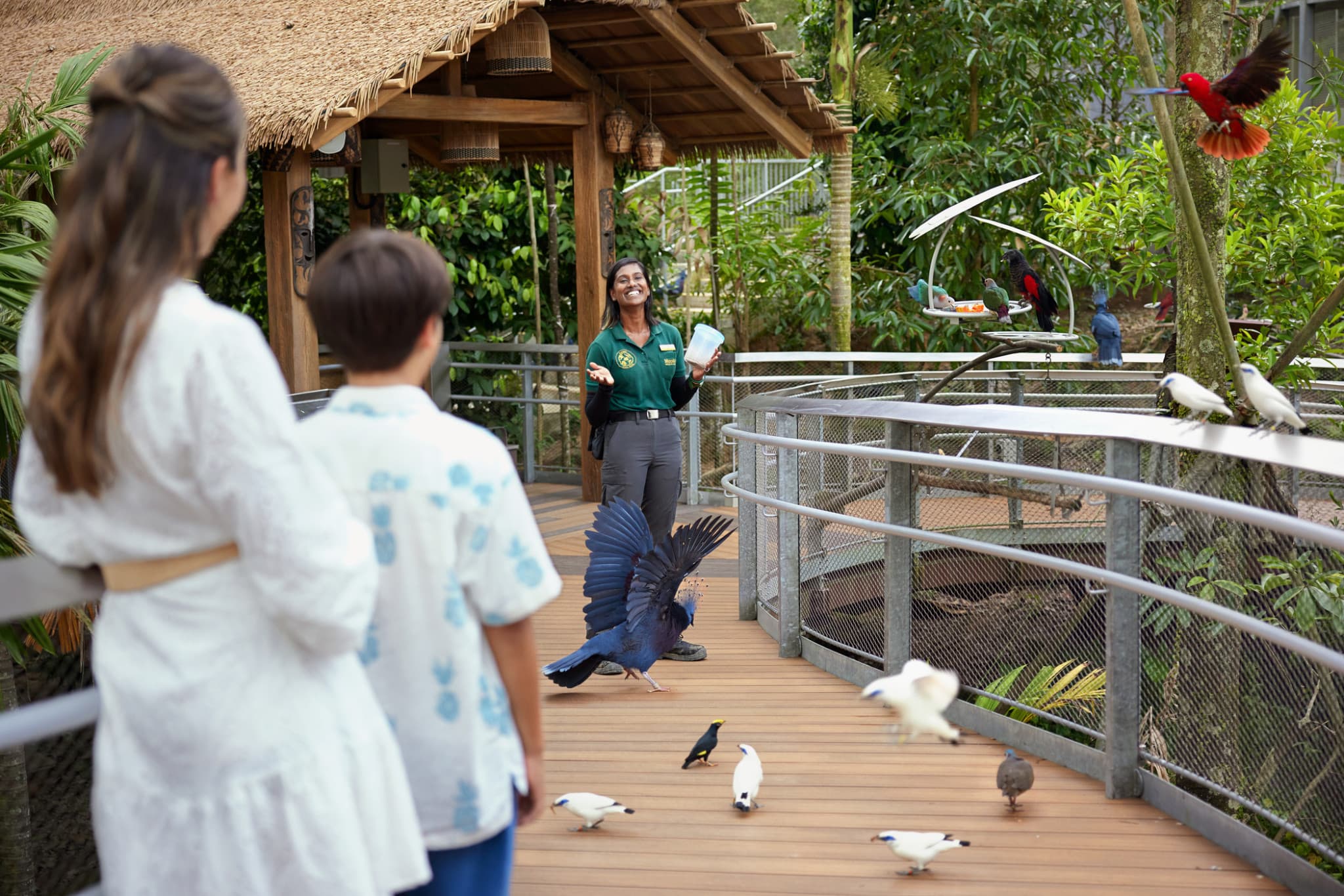 Singapore Bird Paradise Ticket - image 13