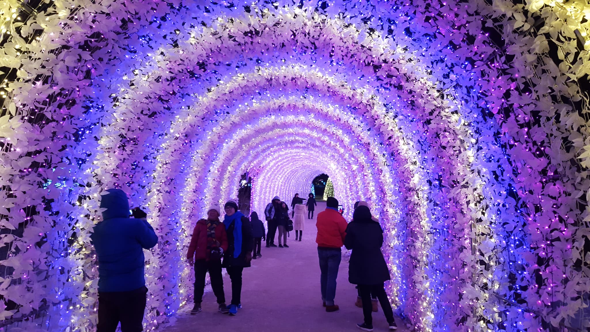 Nami Island, Mount Seorak, and Garden of Morning Calm Full-Day Tour from Seoul - image 12