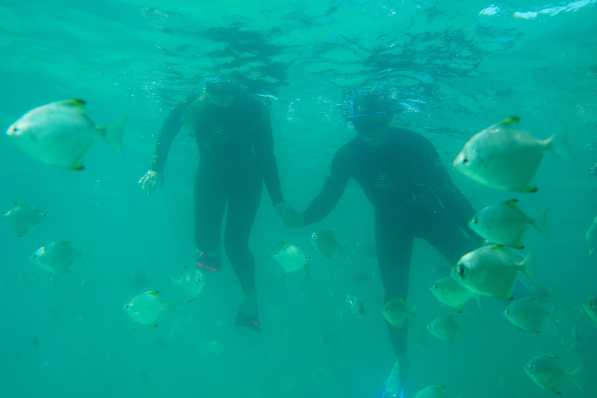 Moreton Island 1-Day Adventure Tour with Kayaking and Sandboarding - image 16