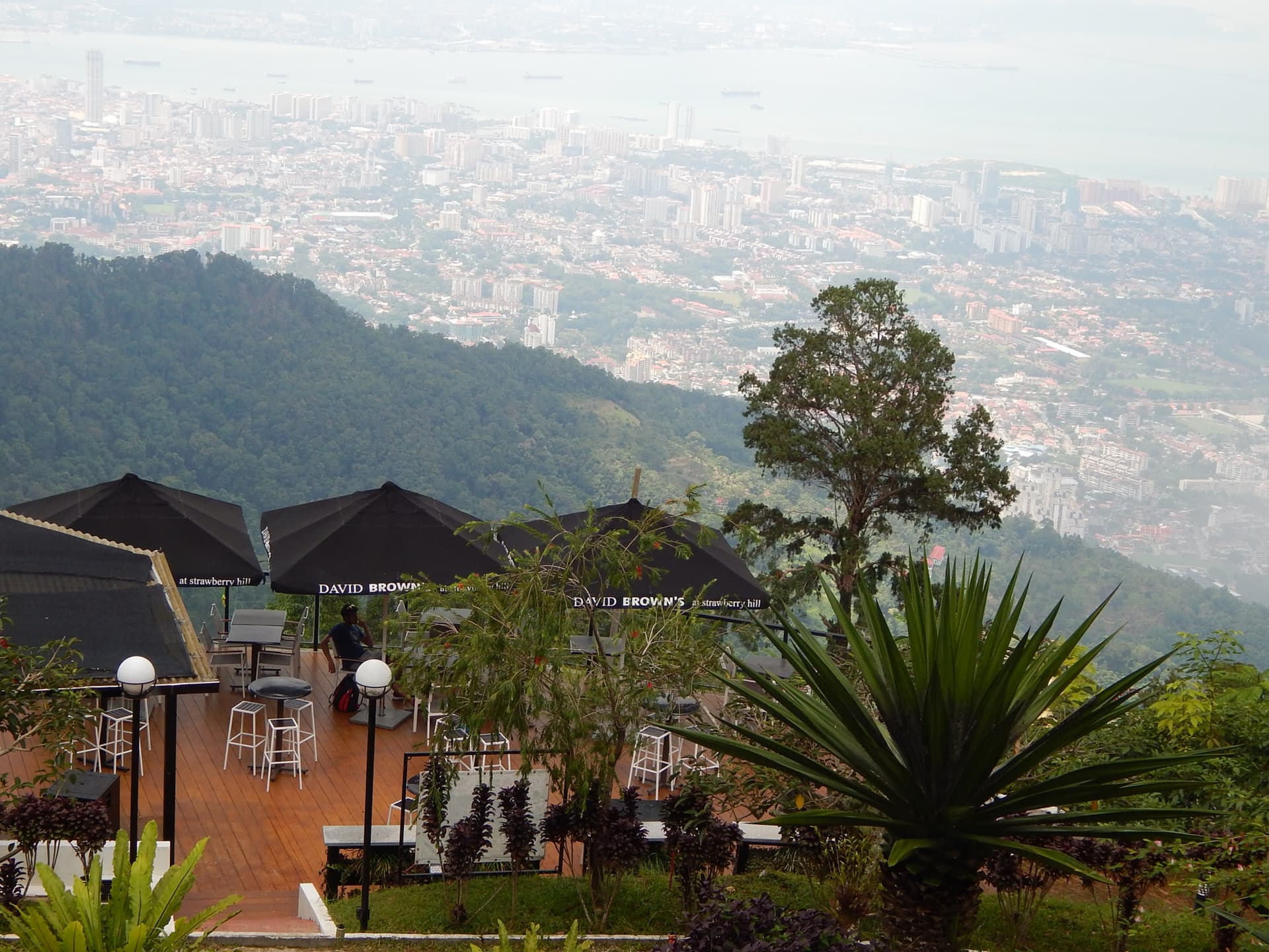 Tour de día completo por la isla de Penang - imagen 3