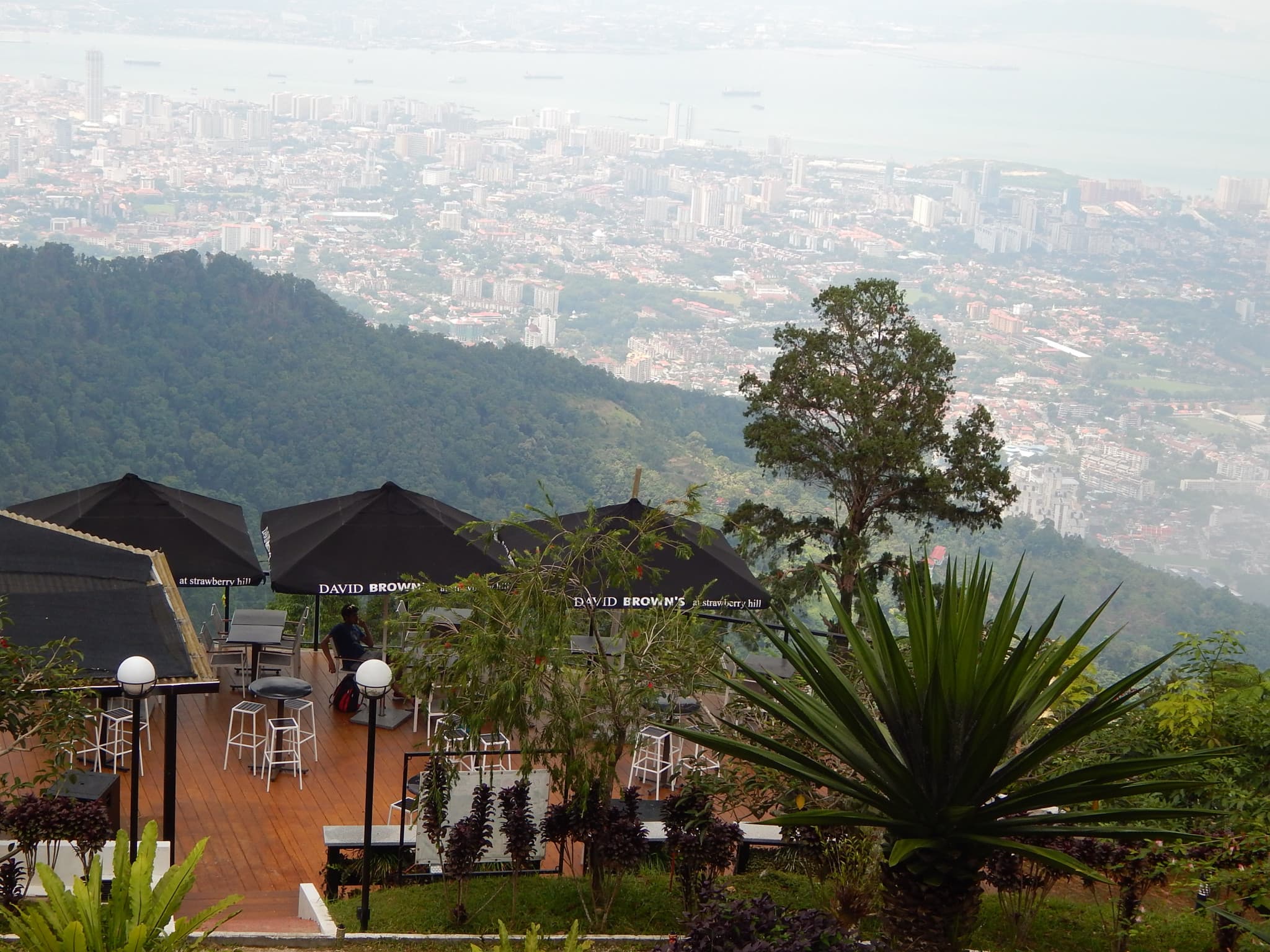 Penang Grand Island Full-Day Tour - image 3