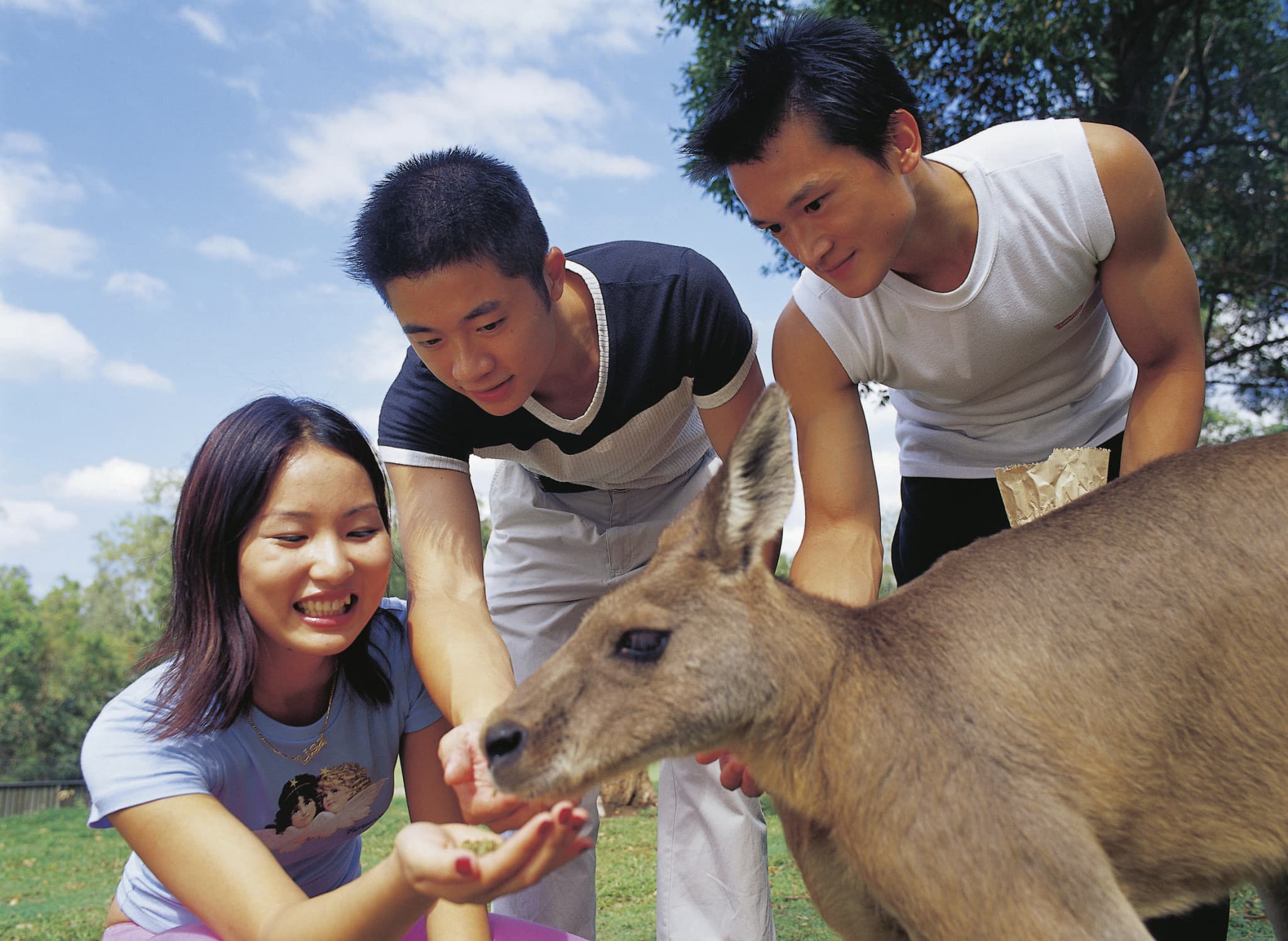 Currumbin Wildlife Sanctuary Gold Coast Ticket - image 6