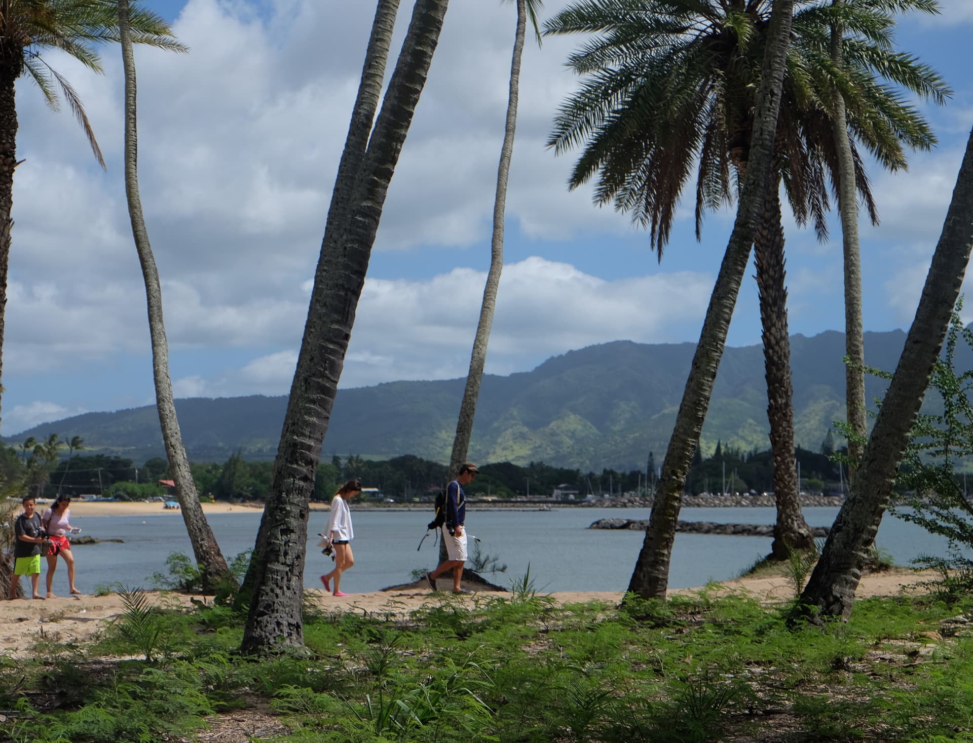 Go City Oahu Explorer Pass: Save up to 50% on Attractions - image 43